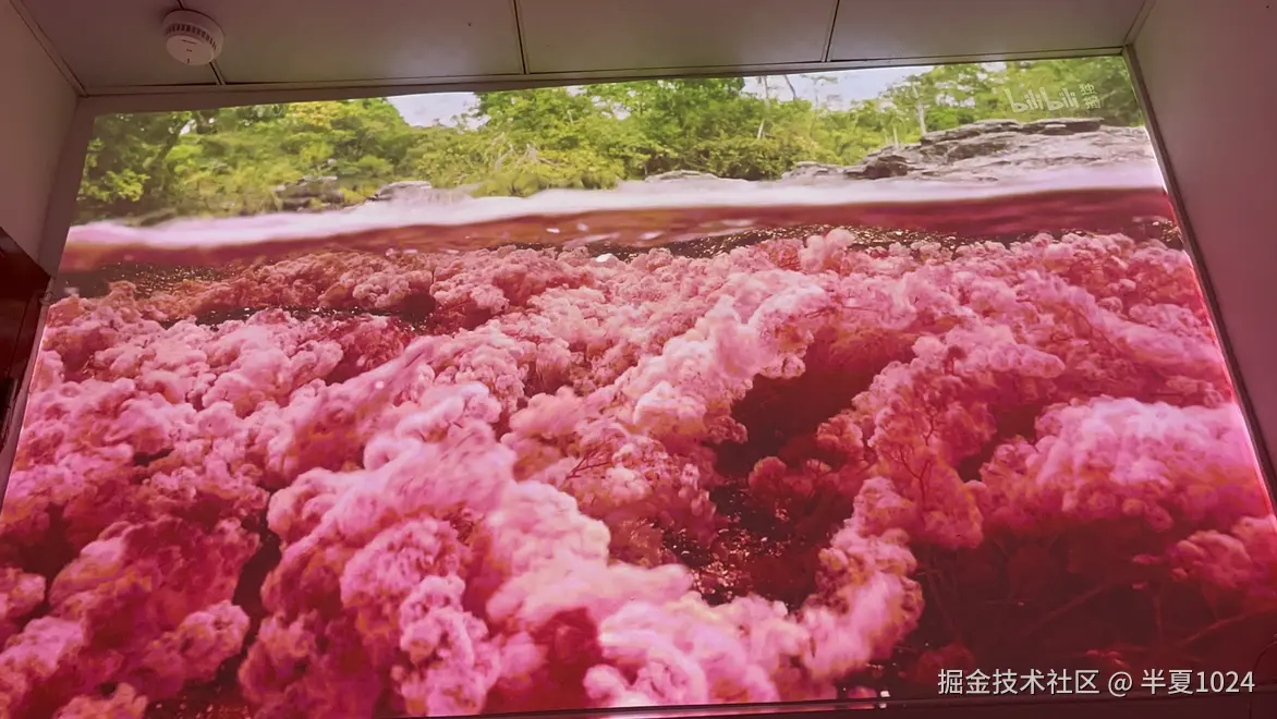 半夏1024于2025-06-13 02:21发布的图片