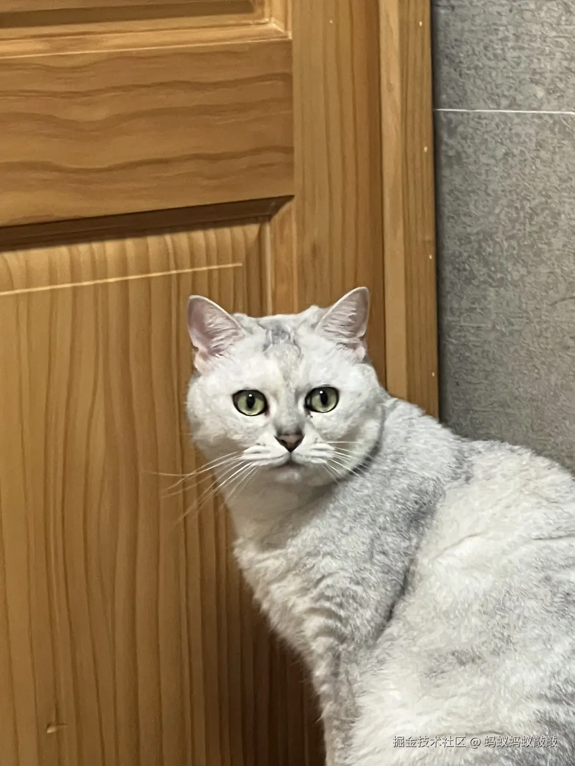 蚂蚁蚂蚁敲敲于2024-09-23 10:18发布的图片