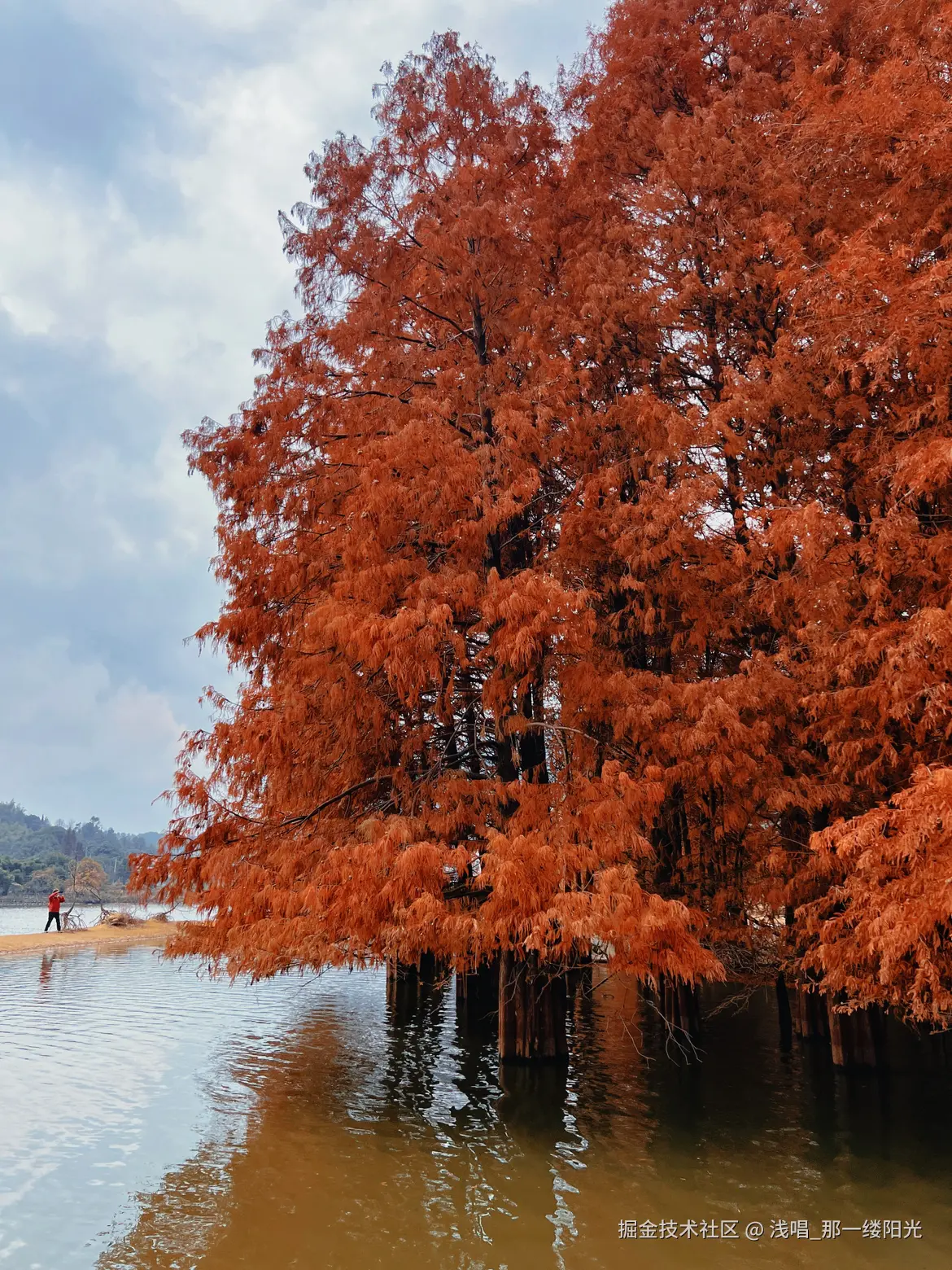 浅唱_那一缕阳光于2025-12-25 11:19发布的图片