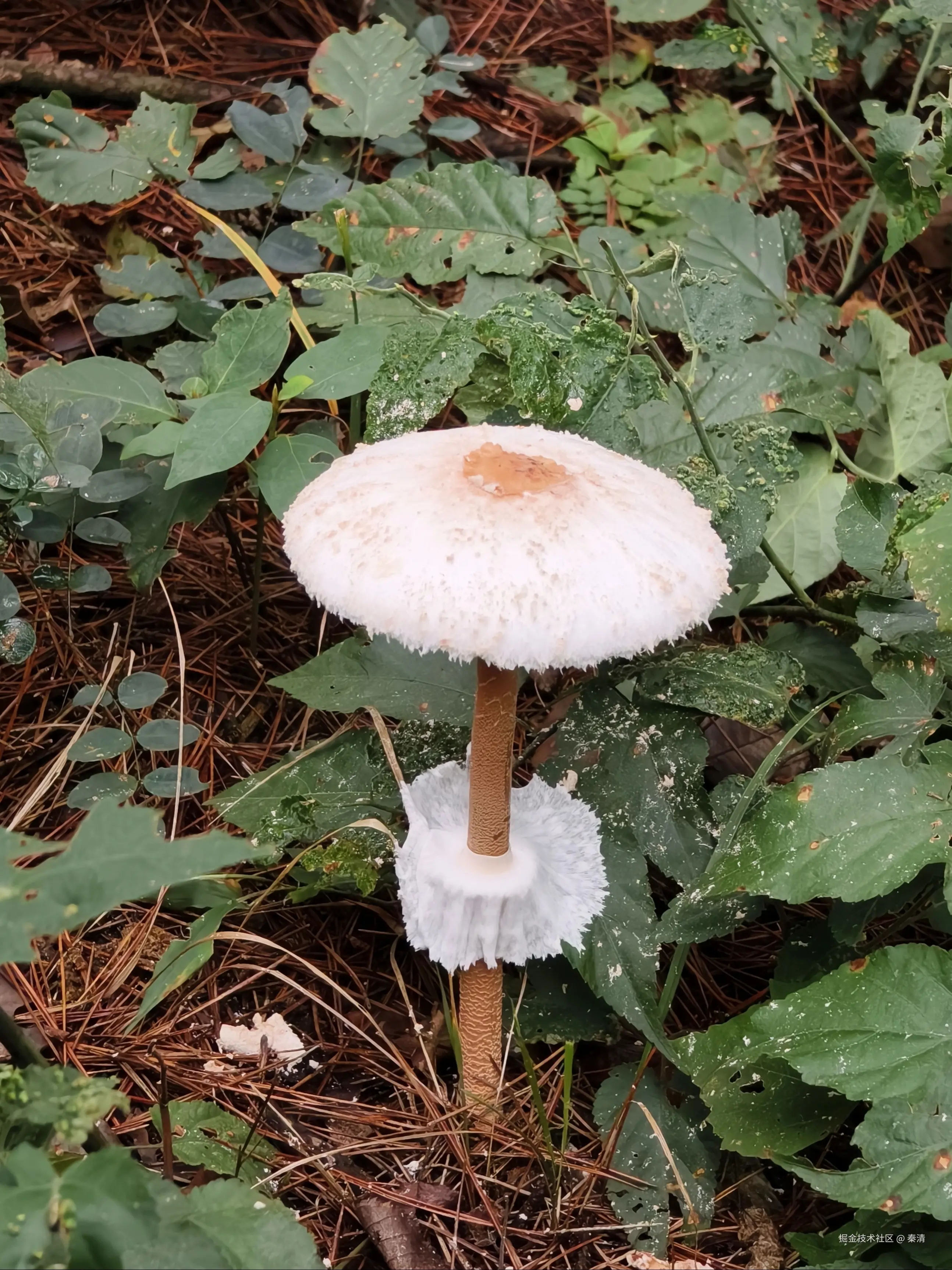 秦清于2025-09-30 09:18发布的图片