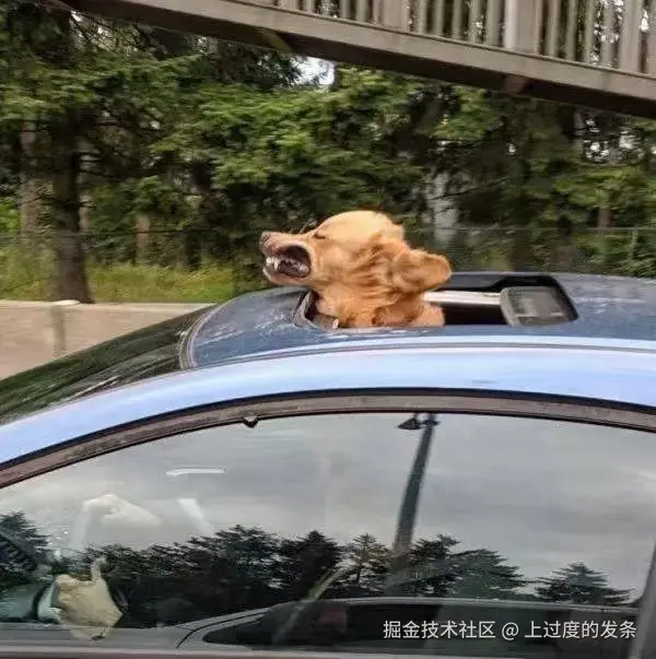 上过度的发条于2025-10-04 11:54发布的图片