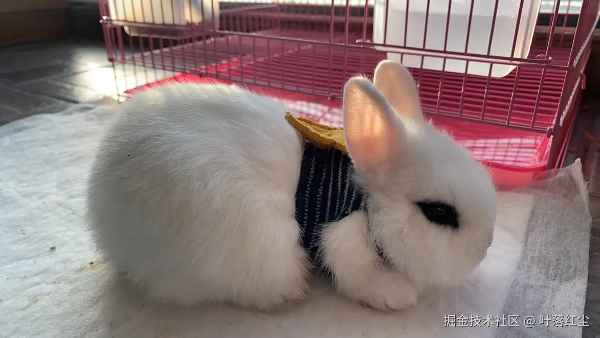 叶落红尘于2024-11-01 09:53发布的图片