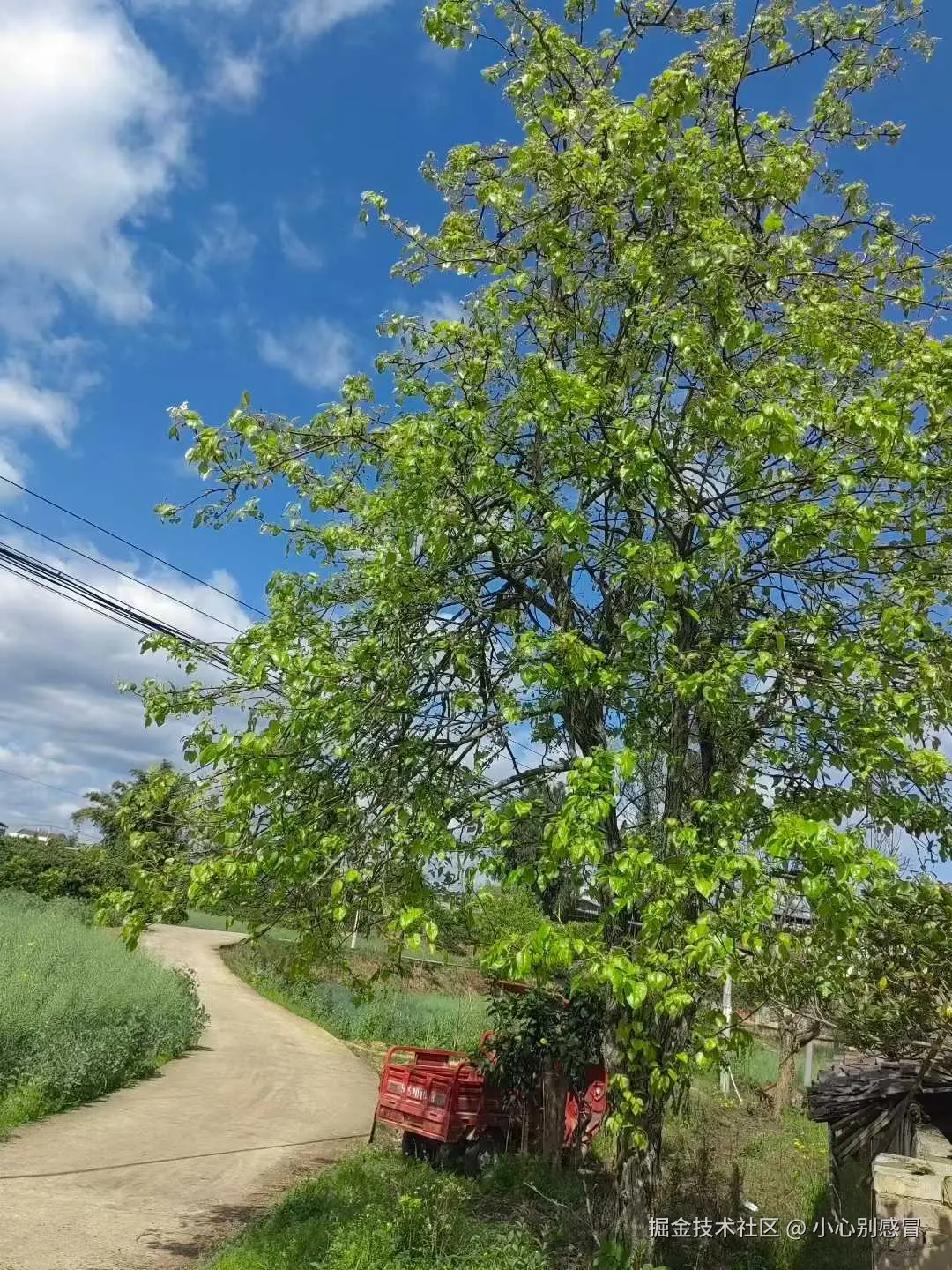 小心别感冒于2026-03-24 15:41发布的图片