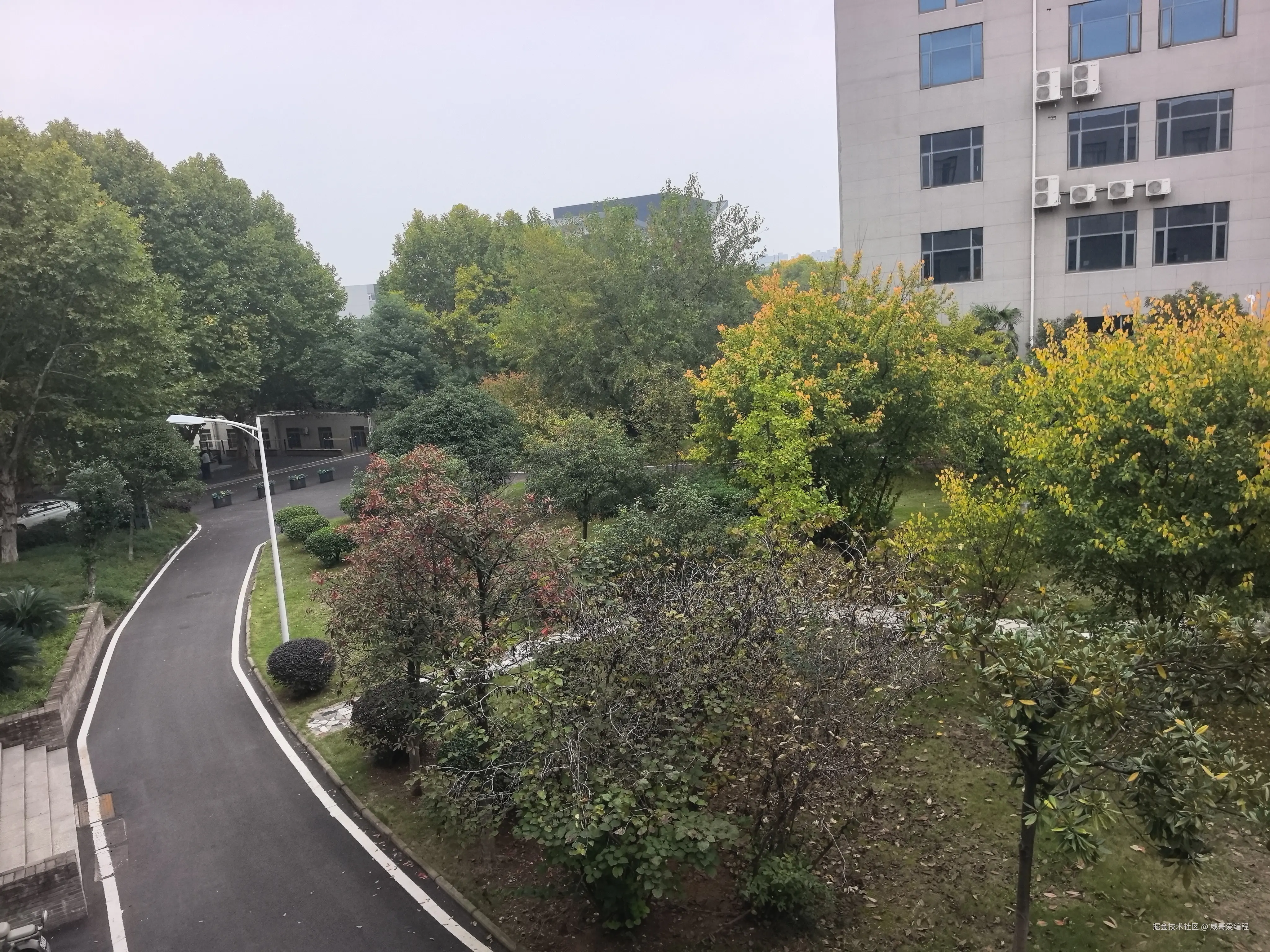 威哥爱编程于2025-11-02 14:38发布的图片