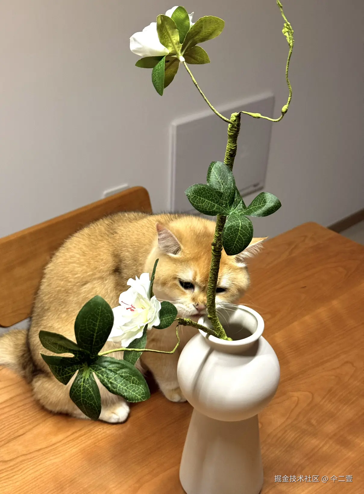 仐二壹于2025-10-23 16:01发布的图片