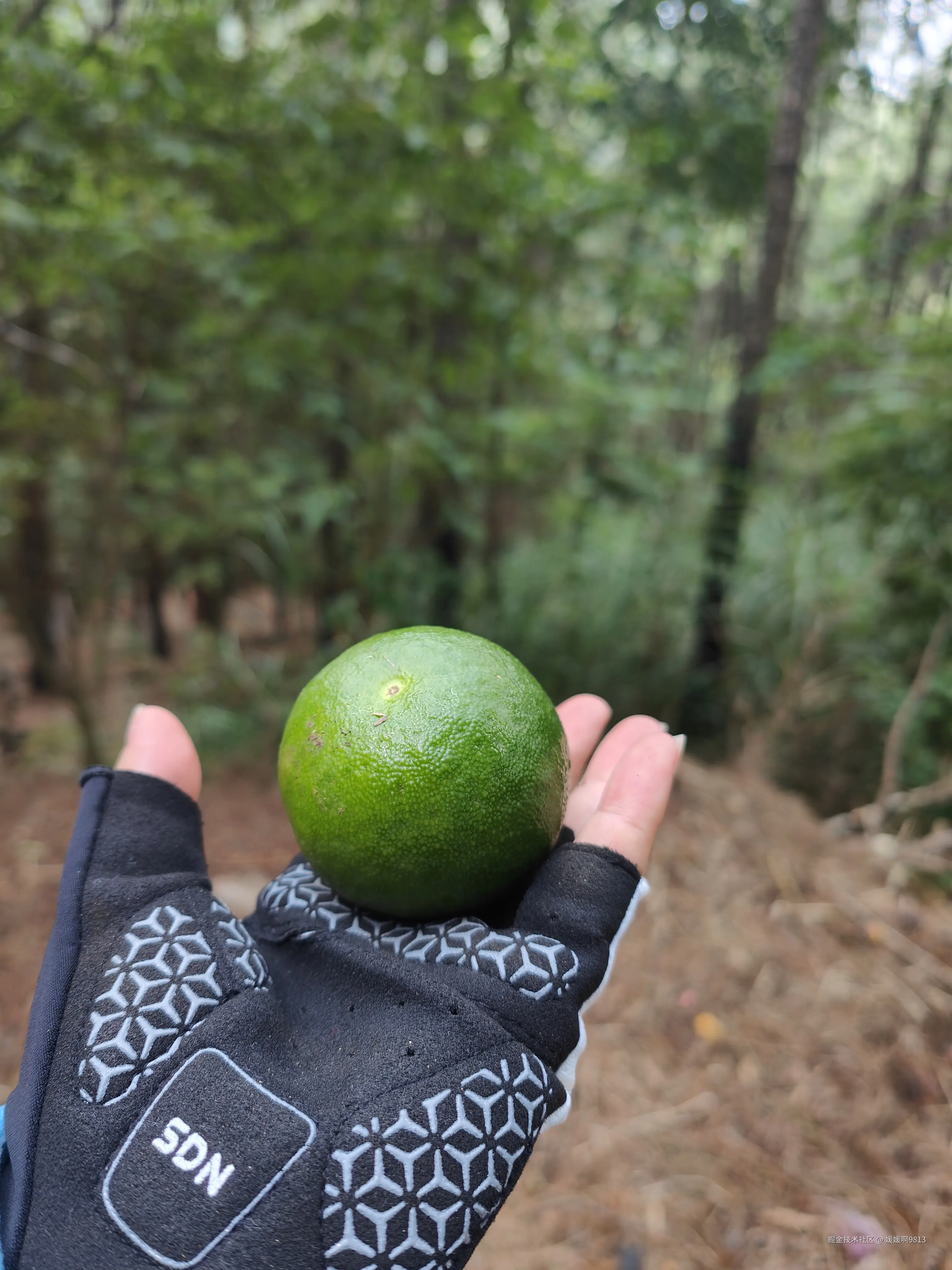 媛媛啊9813于2025-09-21 23:16发布的图片