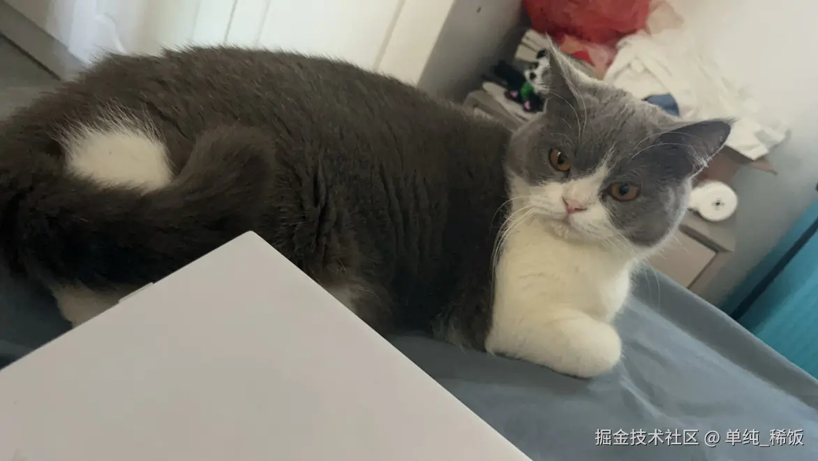 单纯_稀饭于2024-11-28 10:20发布的图片