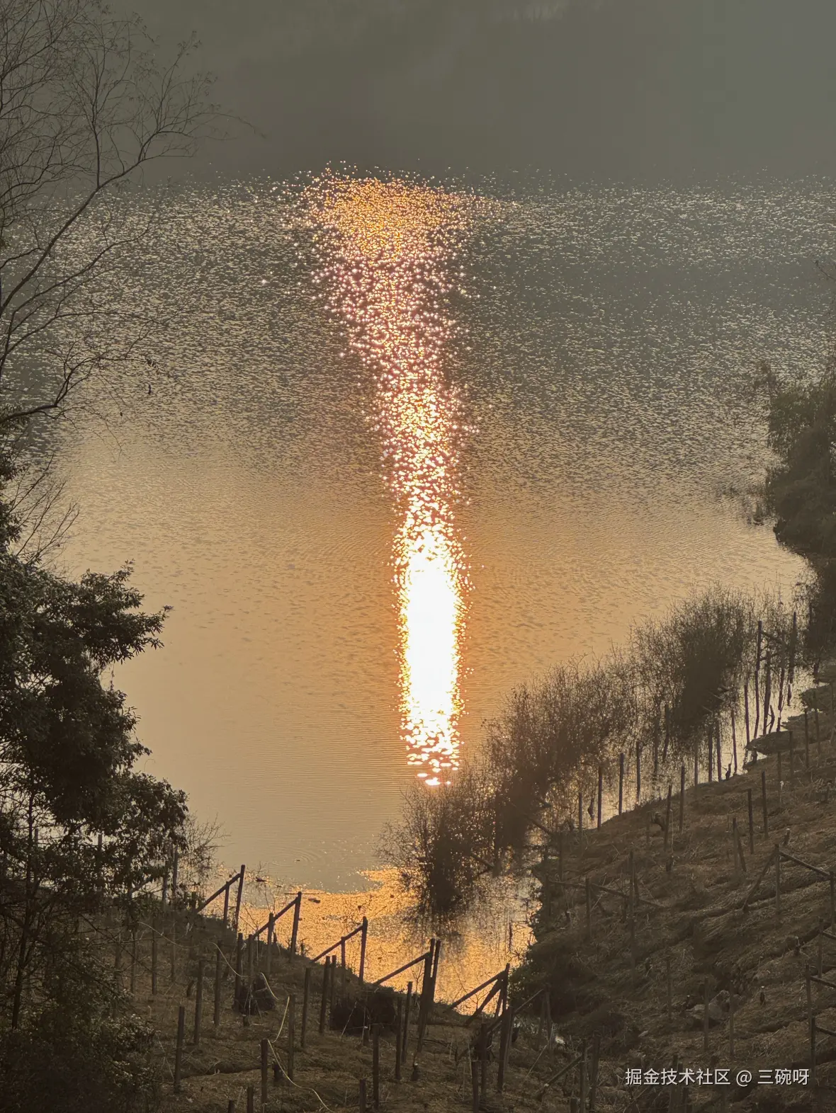 三碗呀于2026-01-22 14:56发布的图片