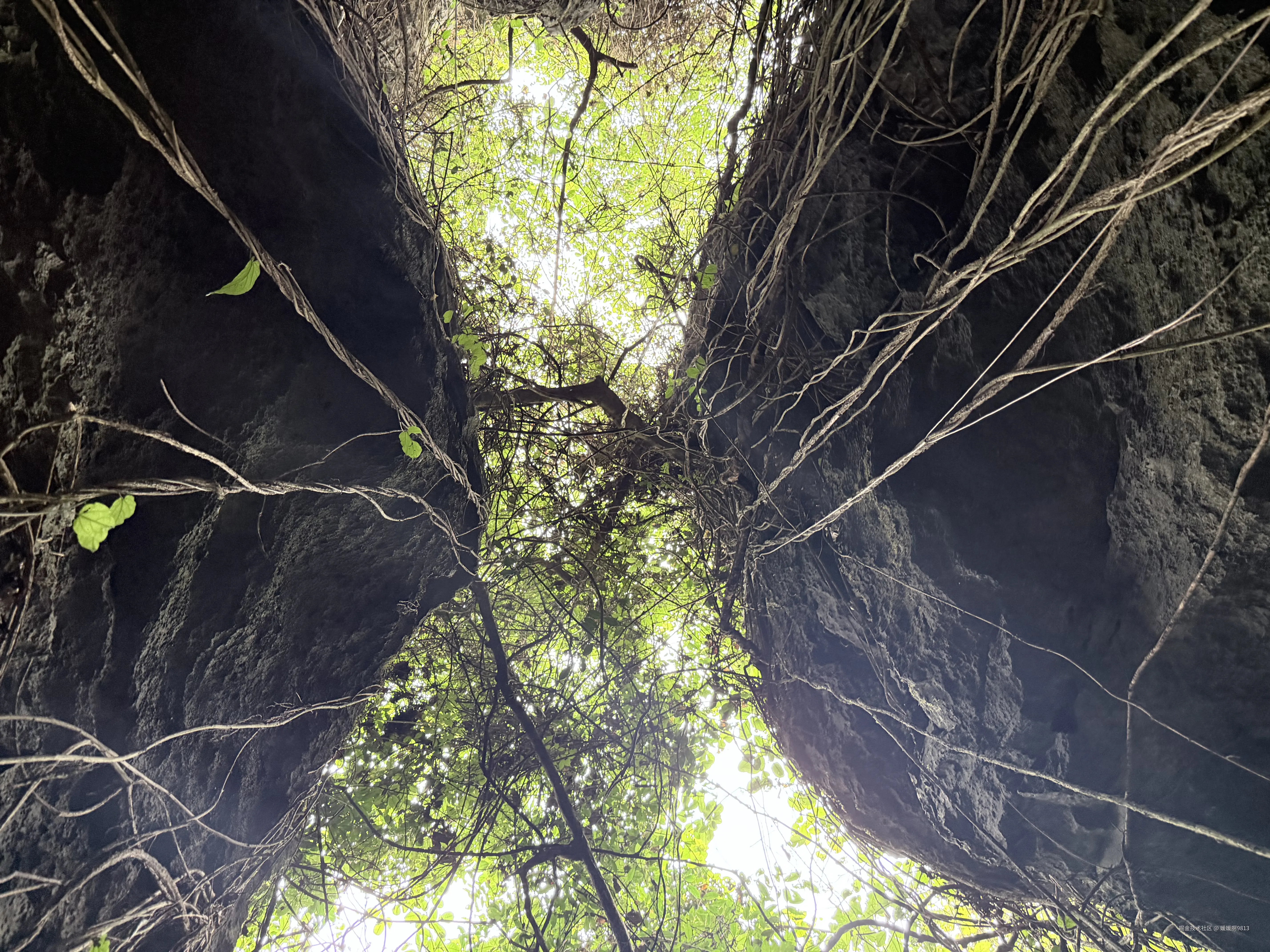 媛媛啊9813于2026-03-22 21:52发布的图片