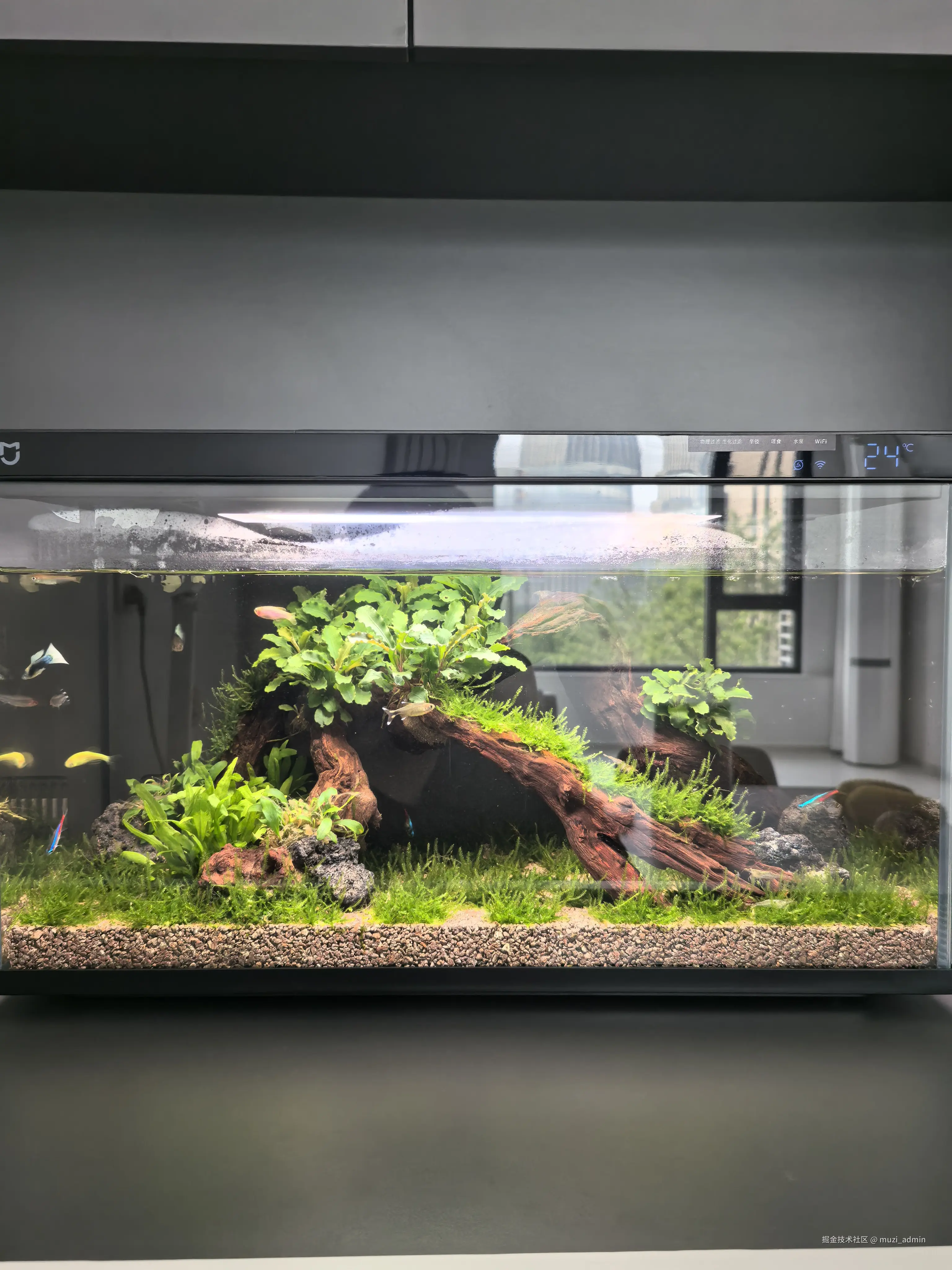 muzi_admin于2026-04-18 15:15发布的图片