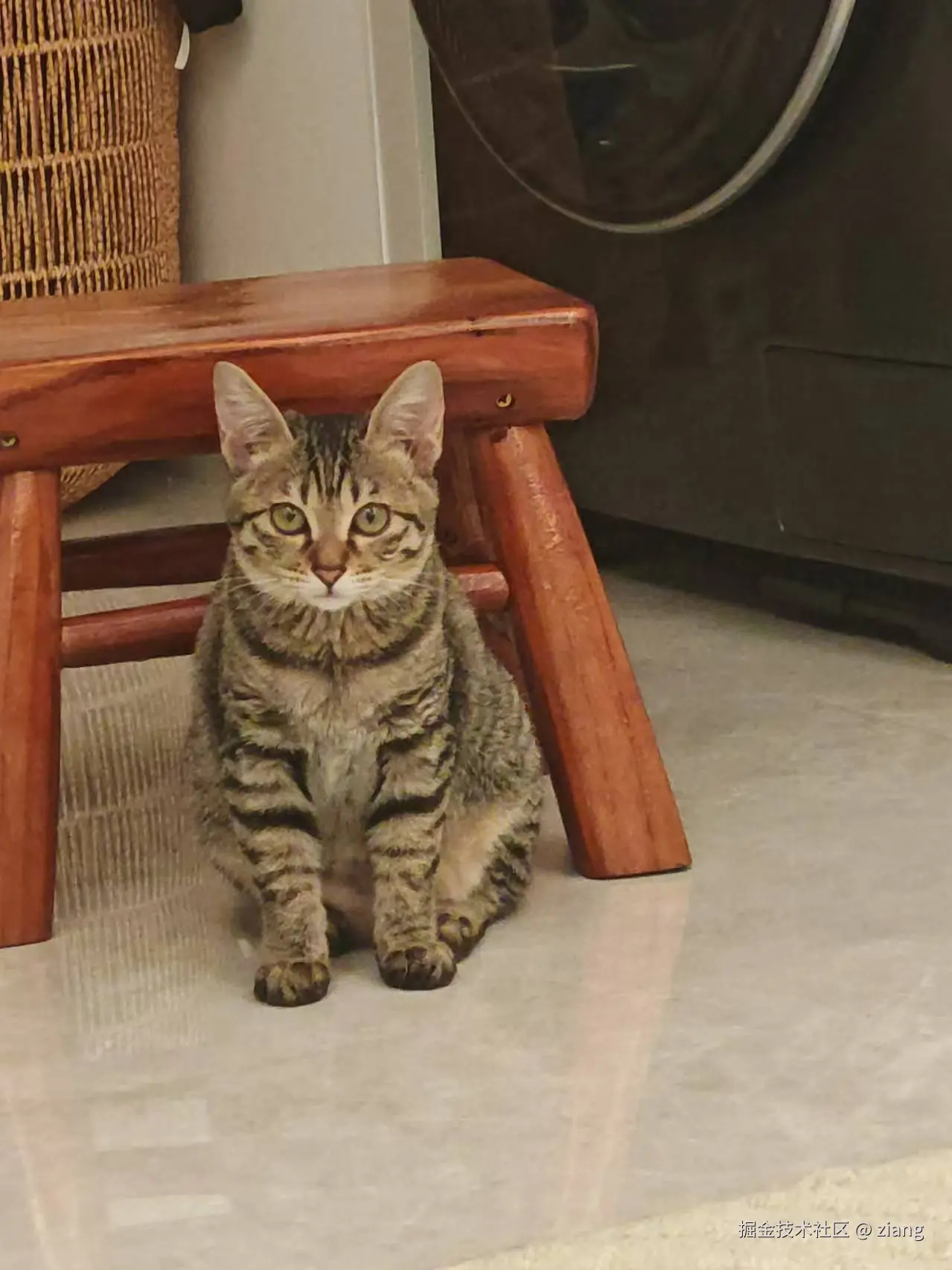 ziang于2024-11-26 14:18发布的图片