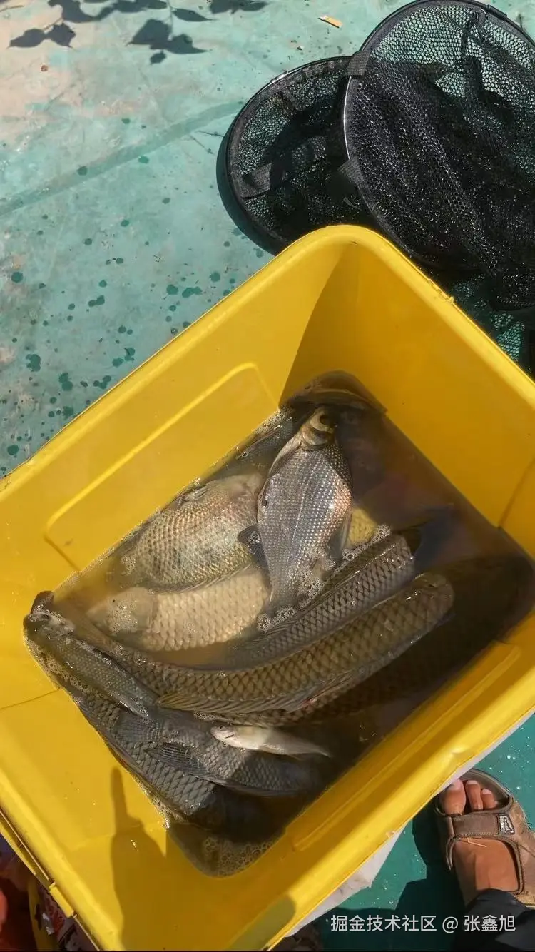 张鑫旭于2024-08-26 11:37发布的图片