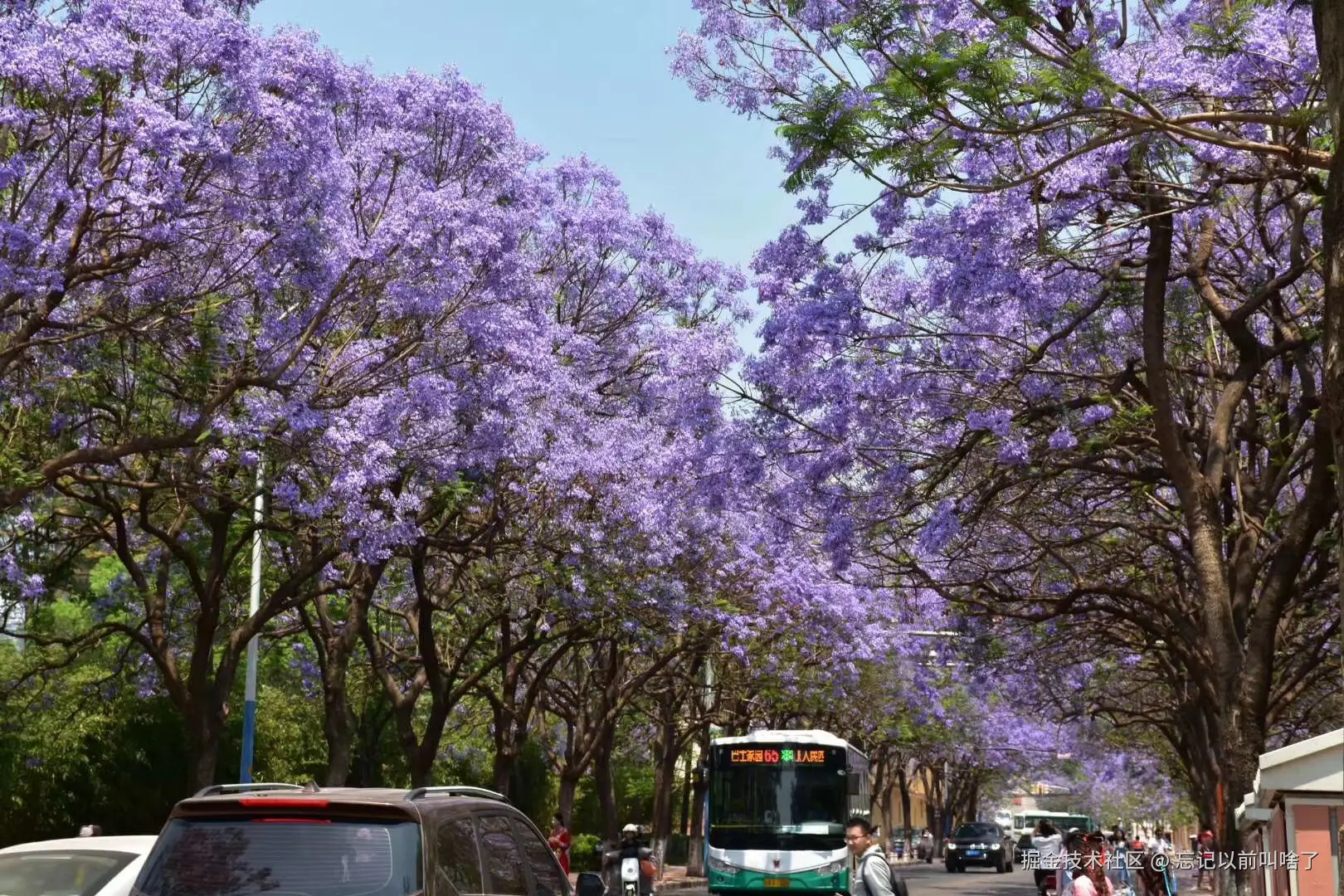忘记以前叫啥了于2024-08-04 16:47发布的图片