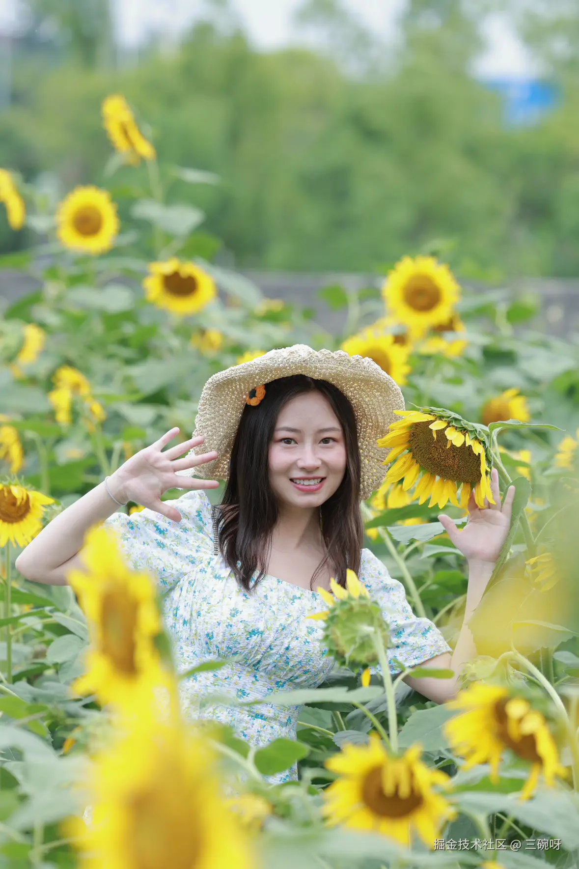 三碗呀于2025-07-09 10:10发布的图片