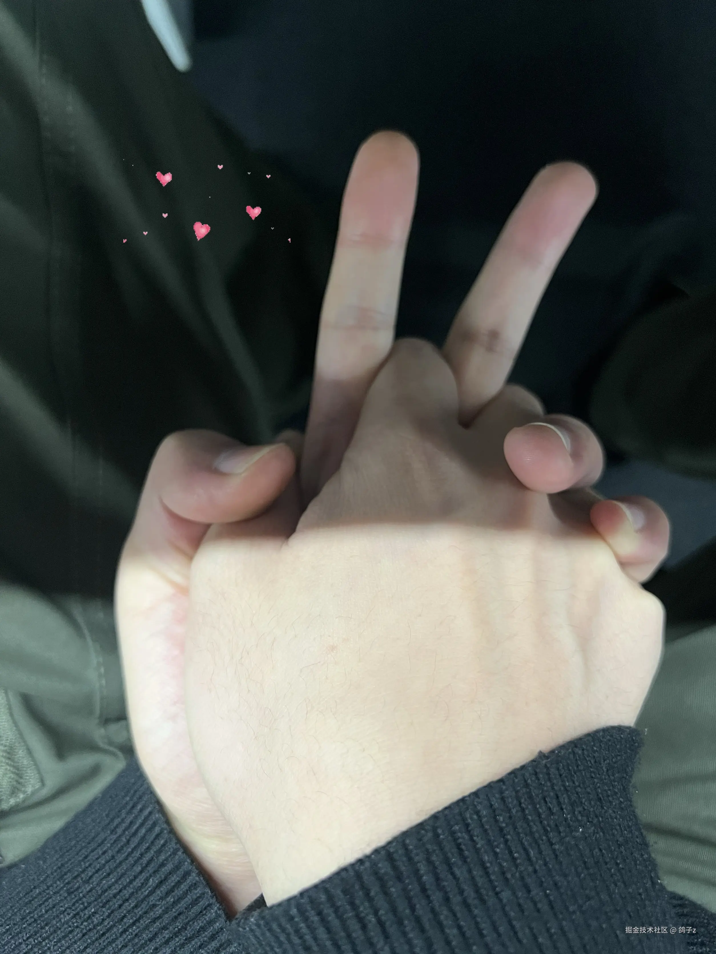 鸽子z于2025-11-14 14:53发布的图片