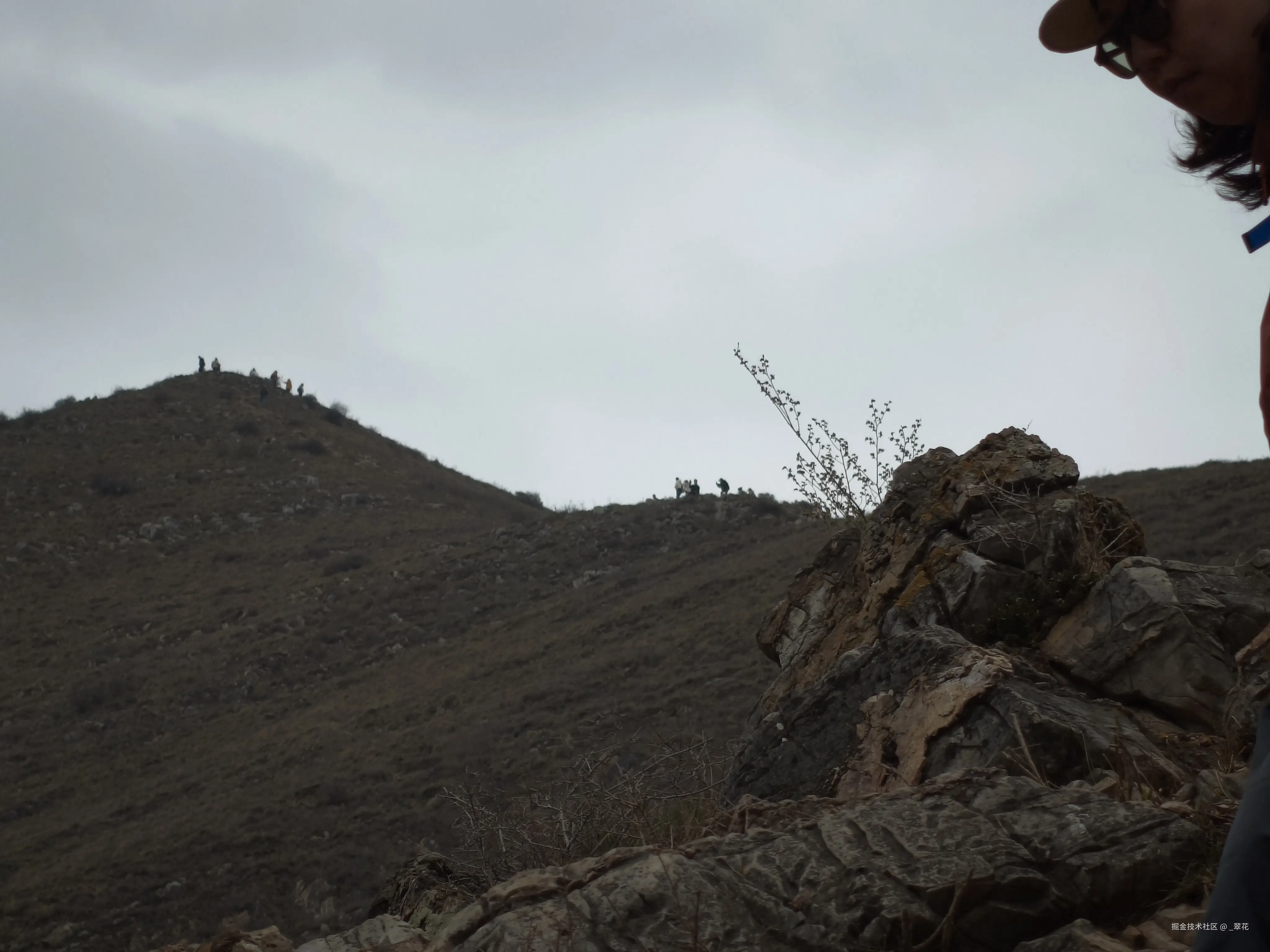 _翠花于2026-03-21 20:14发布的图片