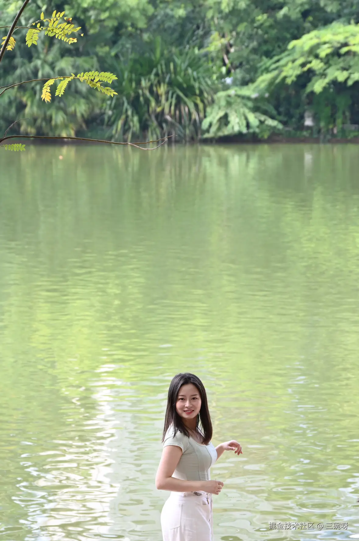 三碗呀于2024-12-09 11:51发布的图片