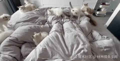 林林摸鱼专用于2024-11-13 01:18发布的图片