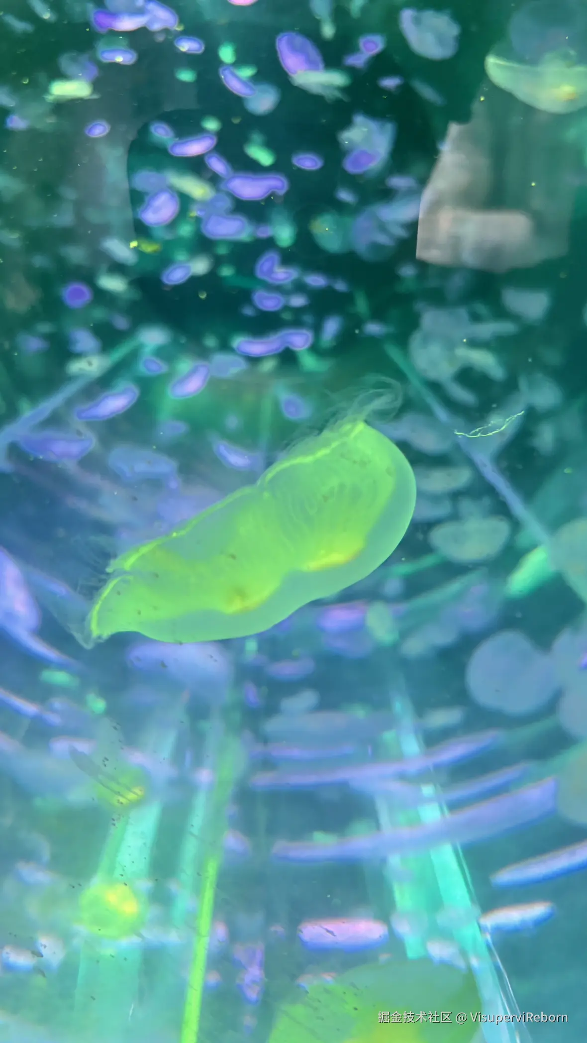 VisuperviReborn于2025-09-30 15:55发布的图片