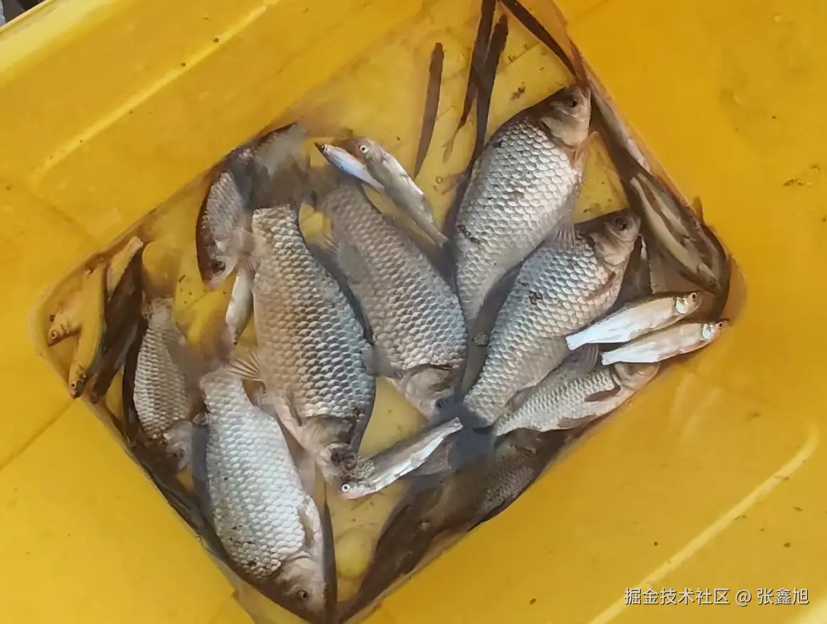 张鑫旭于2025-04-02 10:55发布的图片