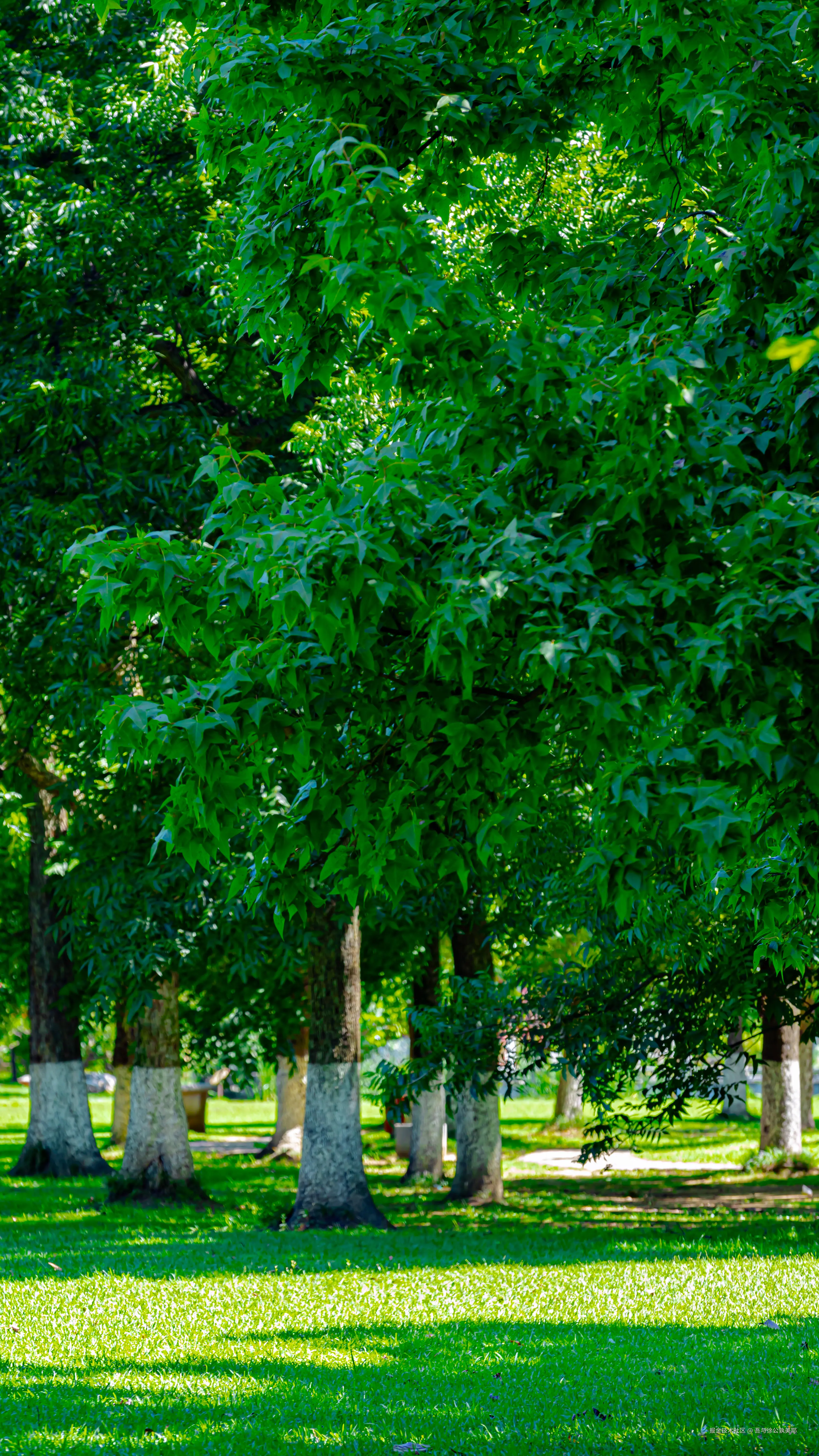 吾与徐公孰美耶于2024-08-09 10:00发布的图片