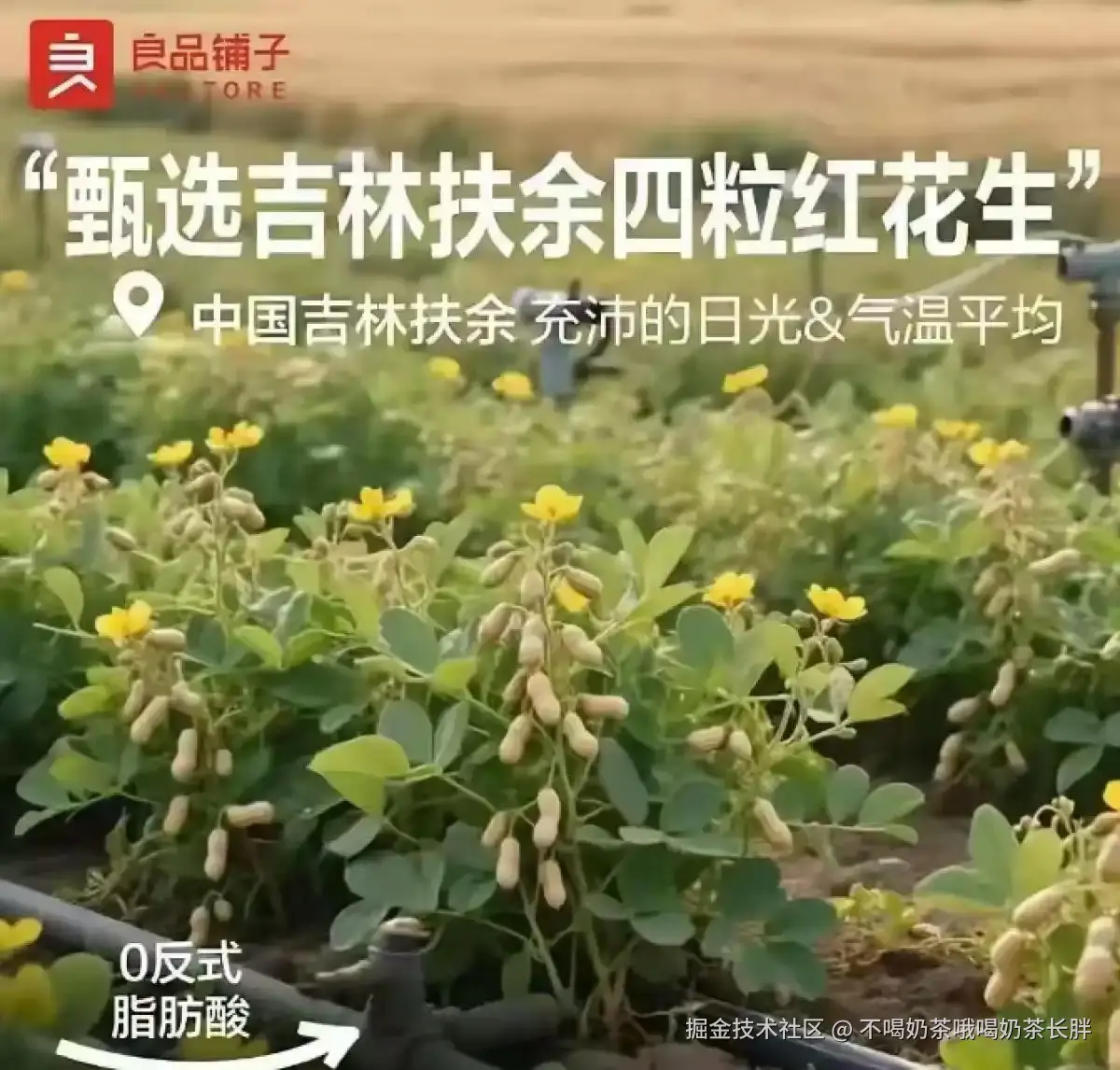 不喝奶茶哦喝奶茶长胖于2025-08-29 10:51发布的图片