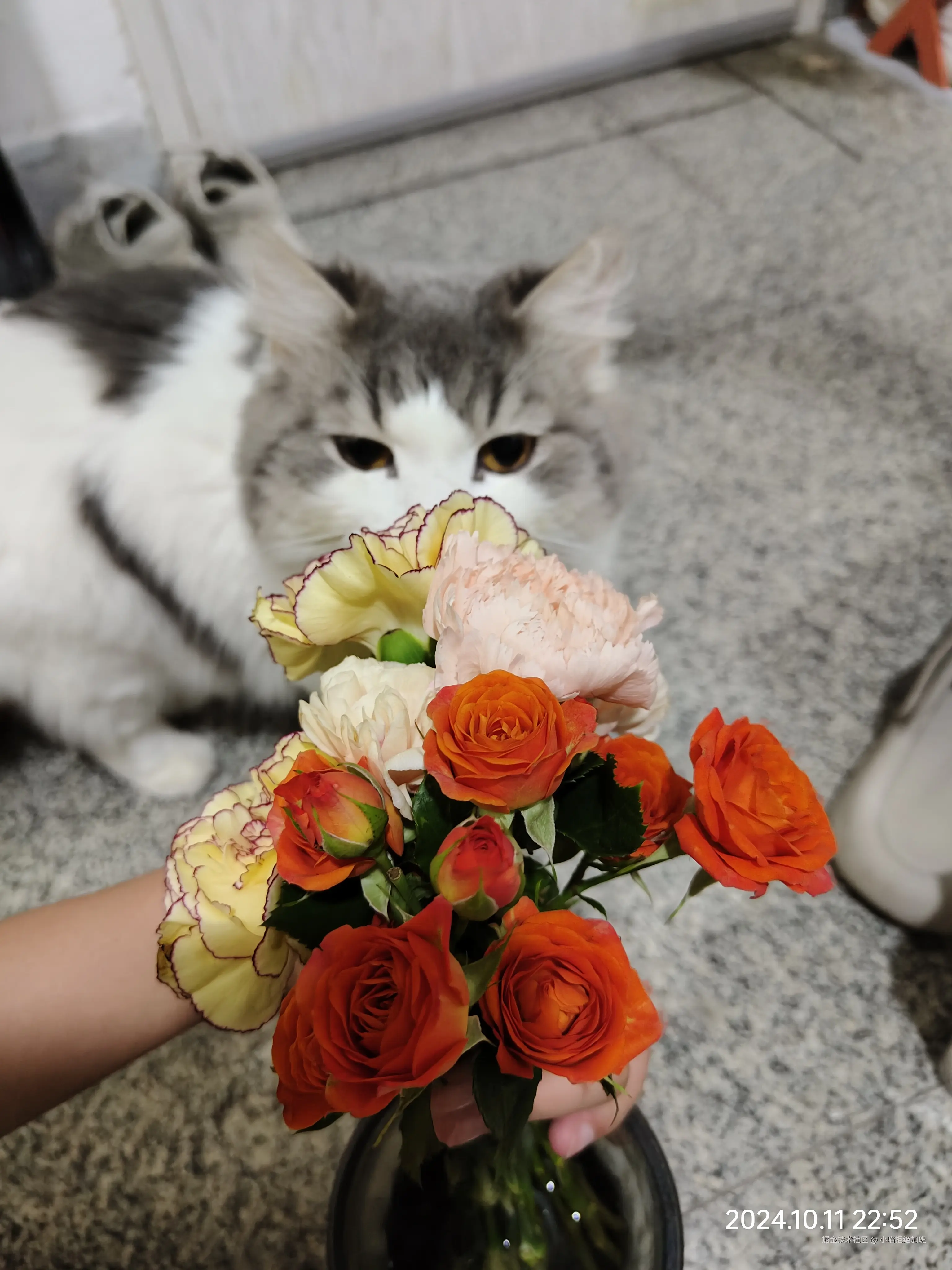 小喵拒绝加班于2024-10-16 12:33发布的图片