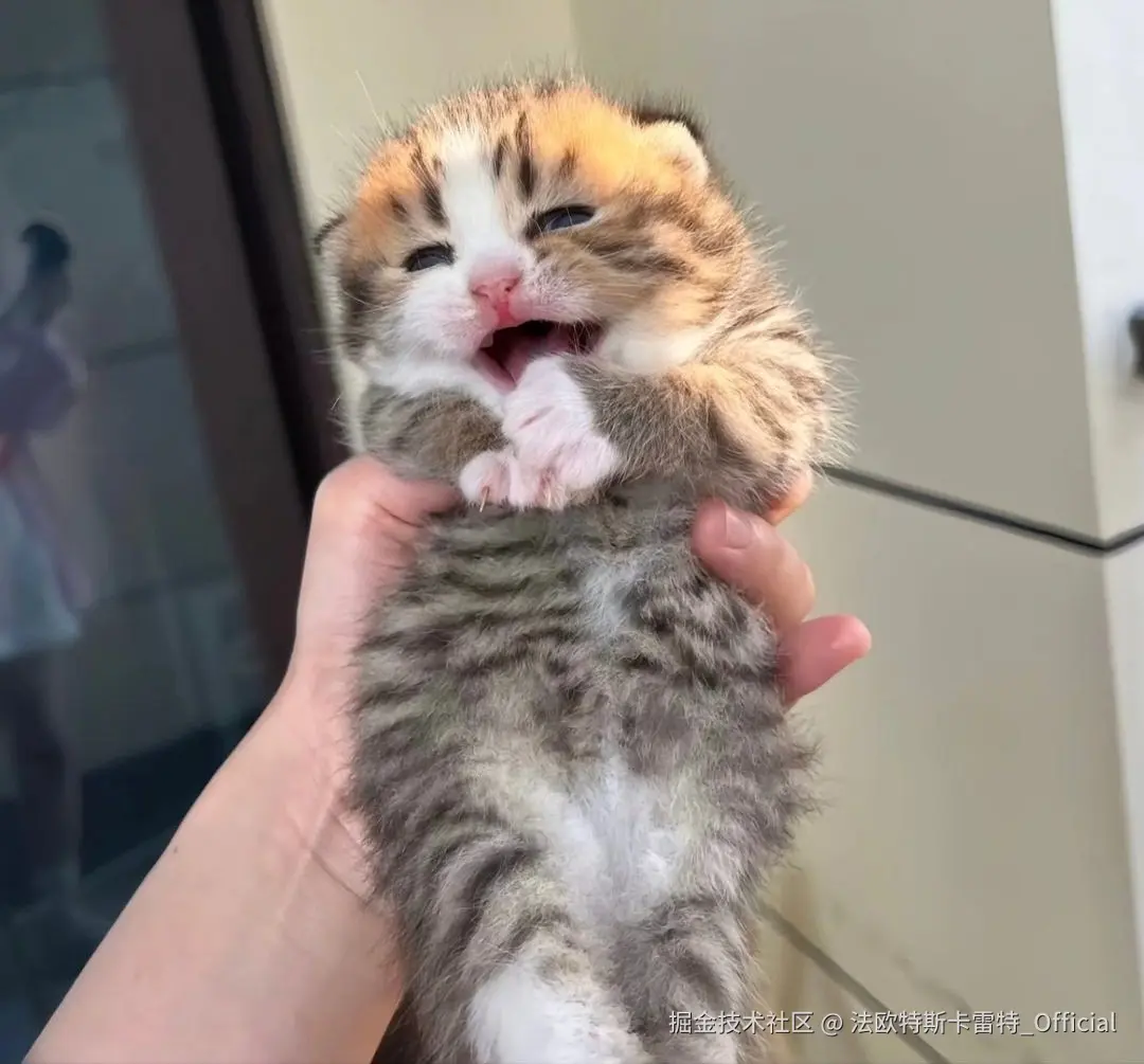 法欧特斯卡雷特_Official于2024-11-19 08:52发布的图片