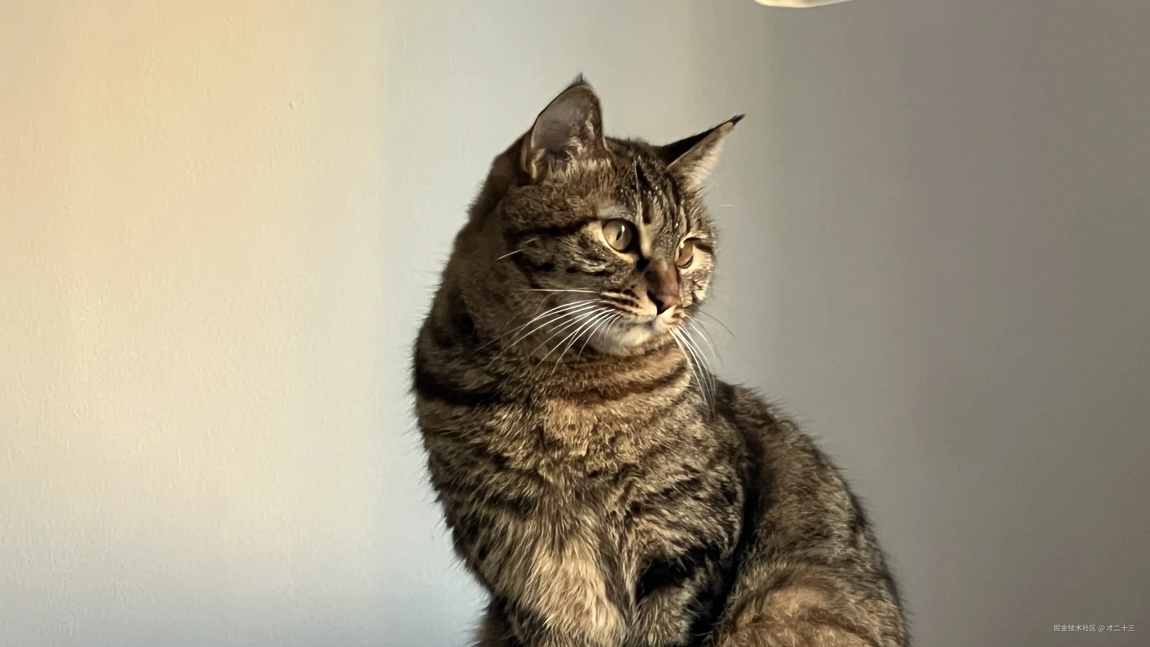 才二十三于2026-01-28 15:05发布的图片