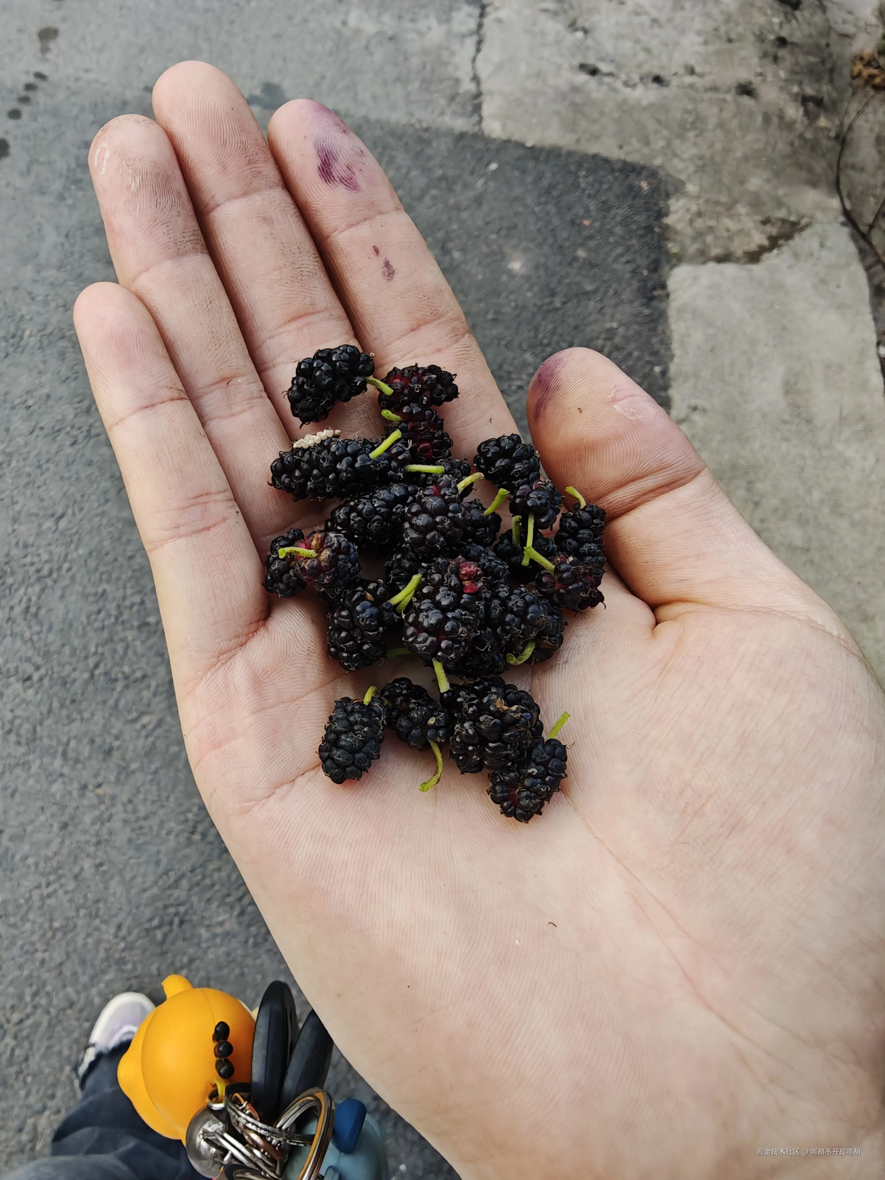 哪胡不开提哪胡于2025-04-30 08:52发布的图片