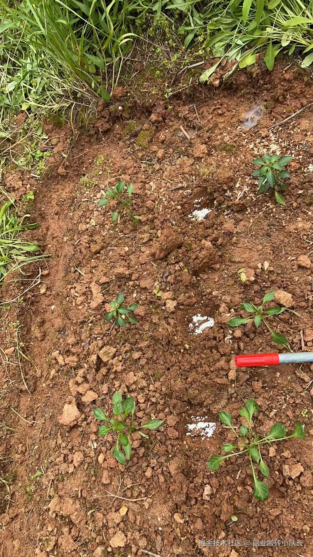 副业搬砖小队长于2026-04-24 11:20发布的图片