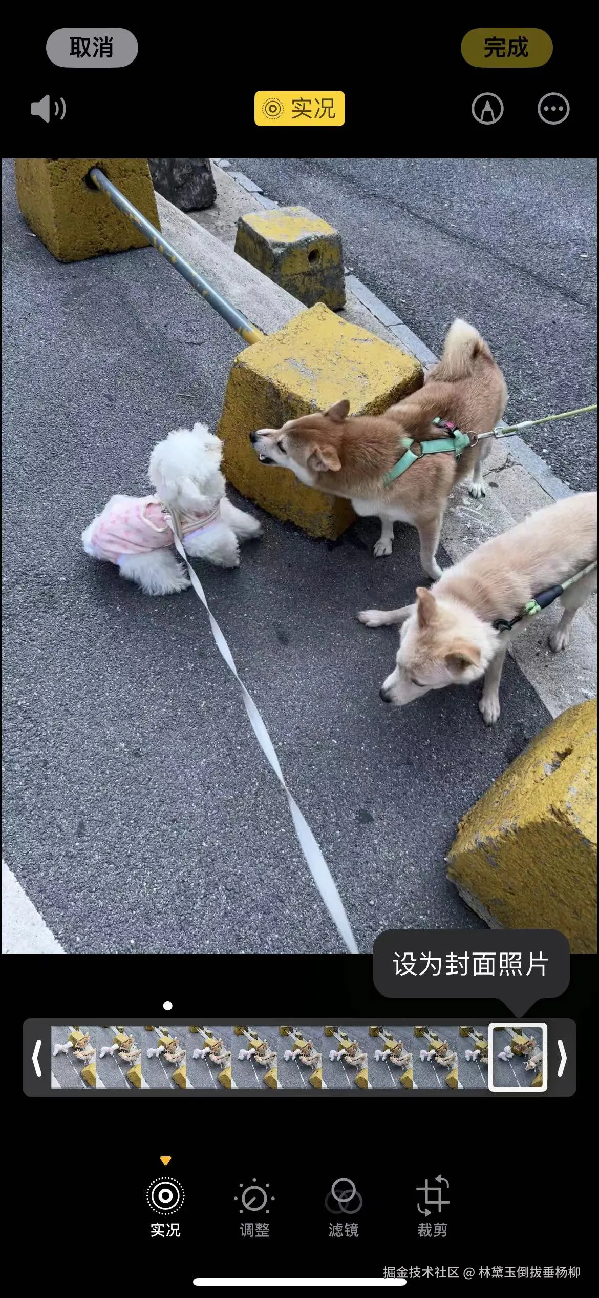 林黛玉倒拔垂杨柳于2024-09-02 13:58发布的图片