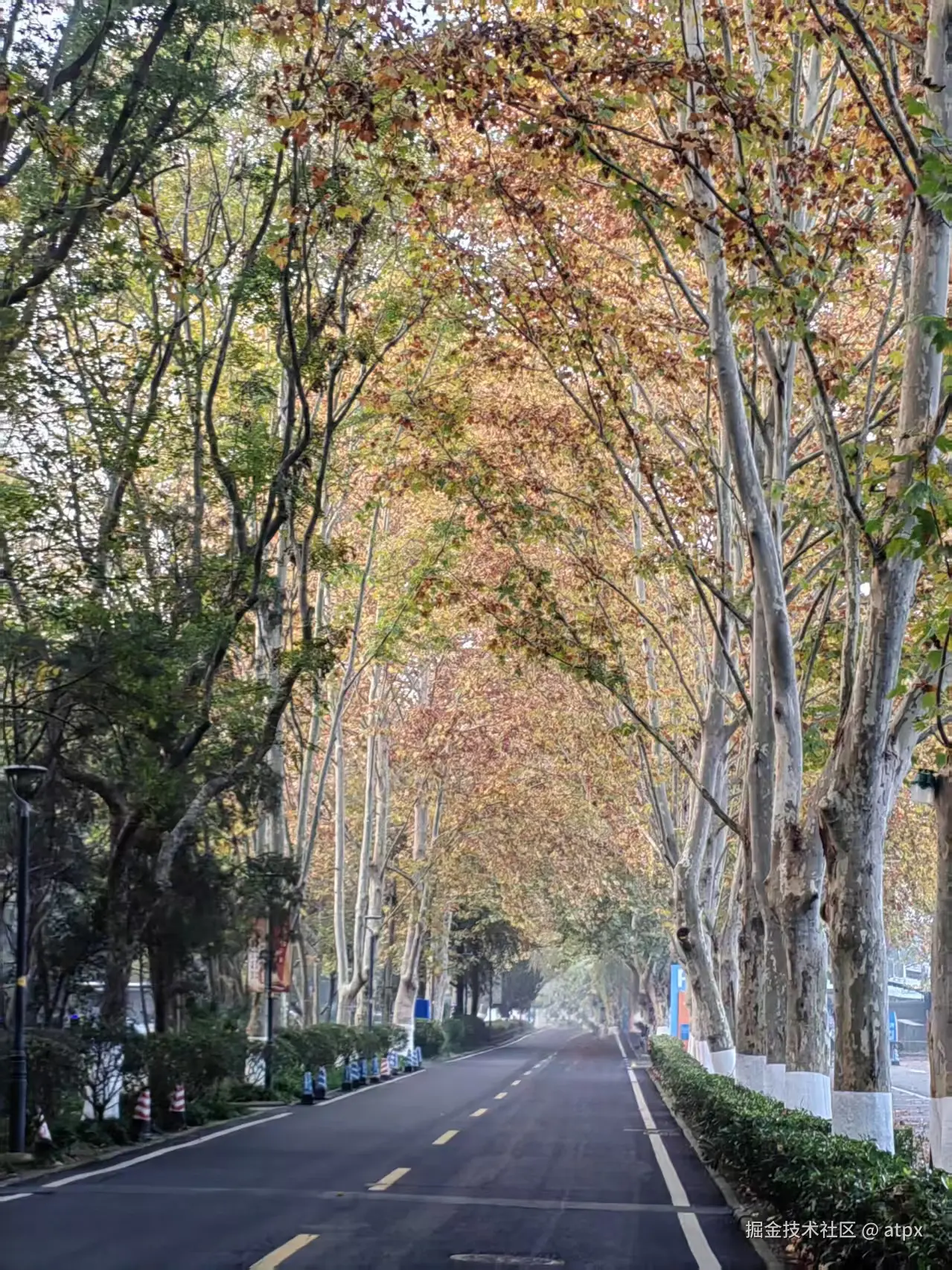 atpx于2025-11-17 10:03发布的图片