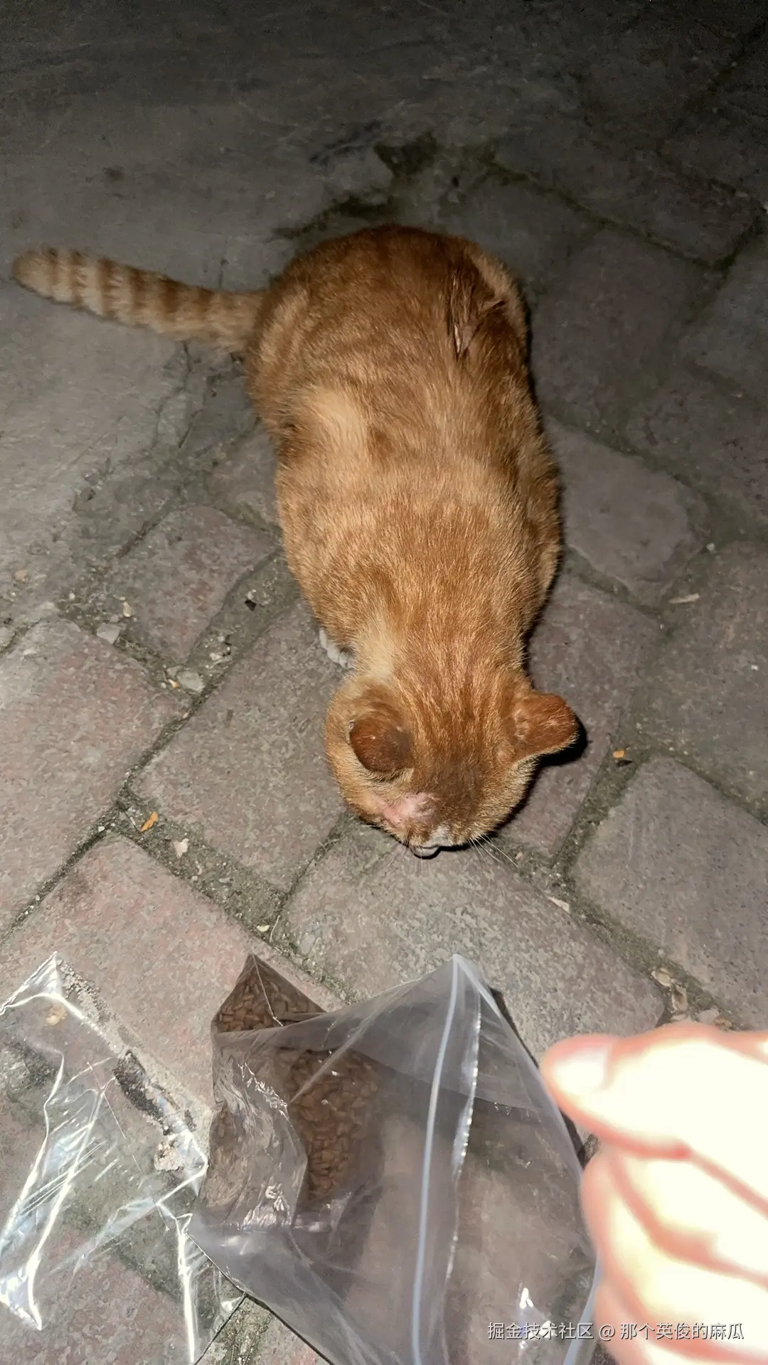 那个英俊的麻瓜于2025-04-11 09:39发布的图片