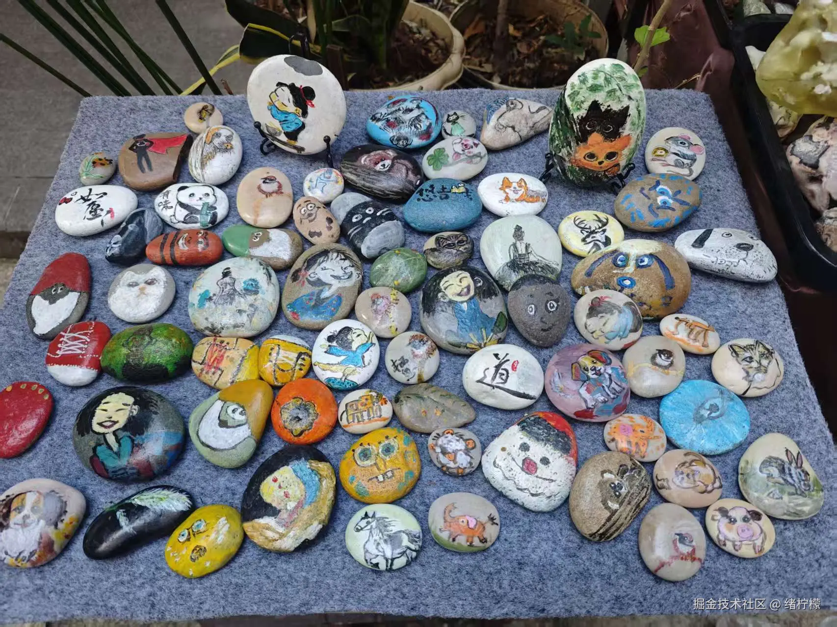 绪柠檬于2026-01-12 11:36发布的图片