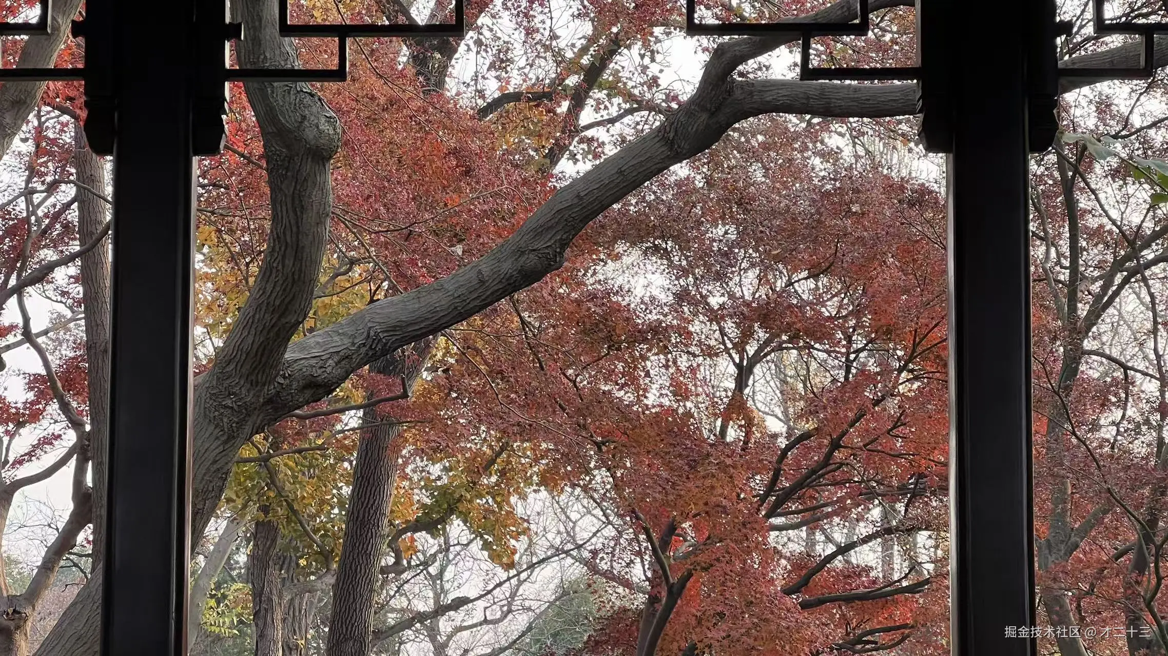 才二十三于2025-12-12 09:33发布的图片