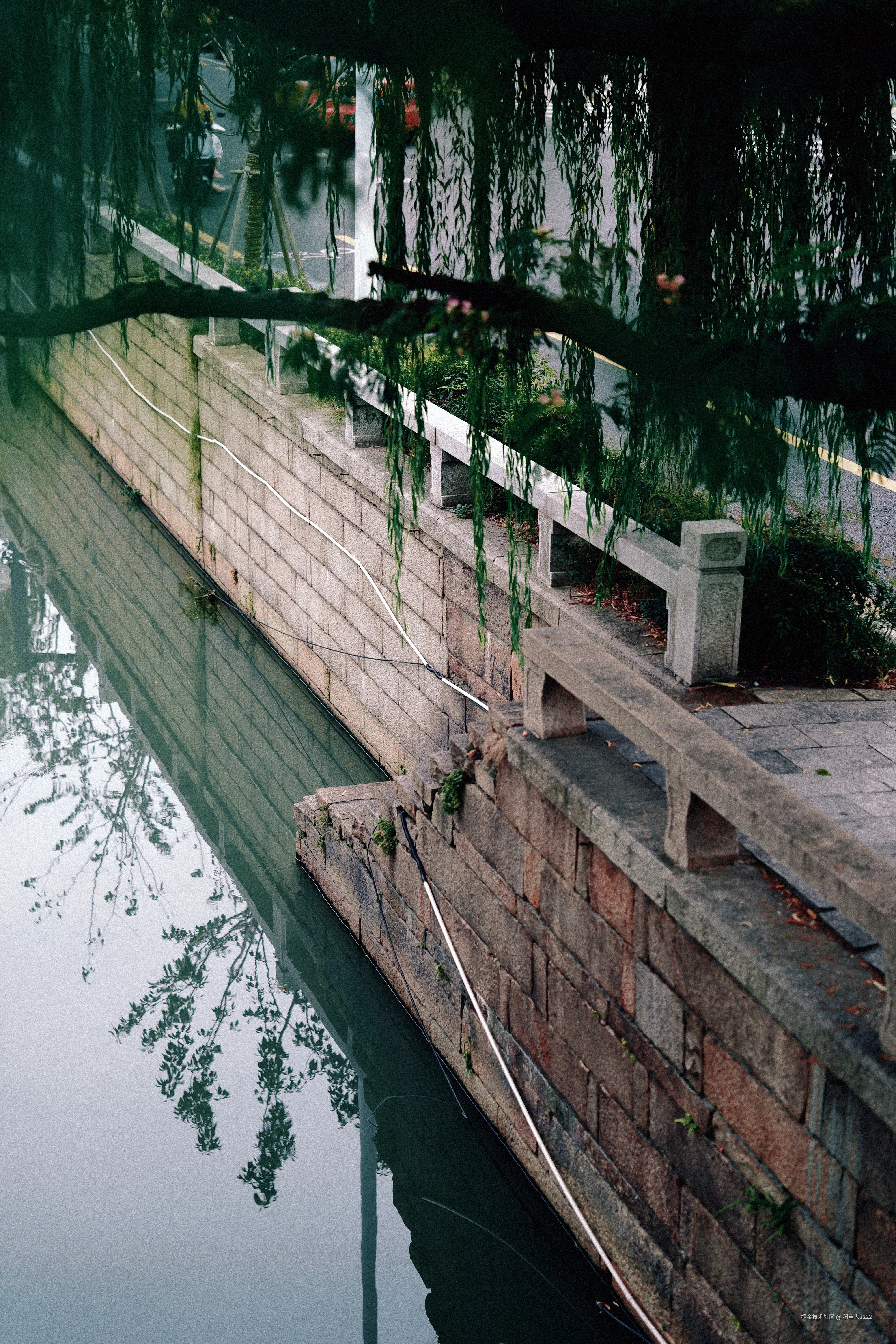 稻草人2222于2025-11-03 11:30发布的图片