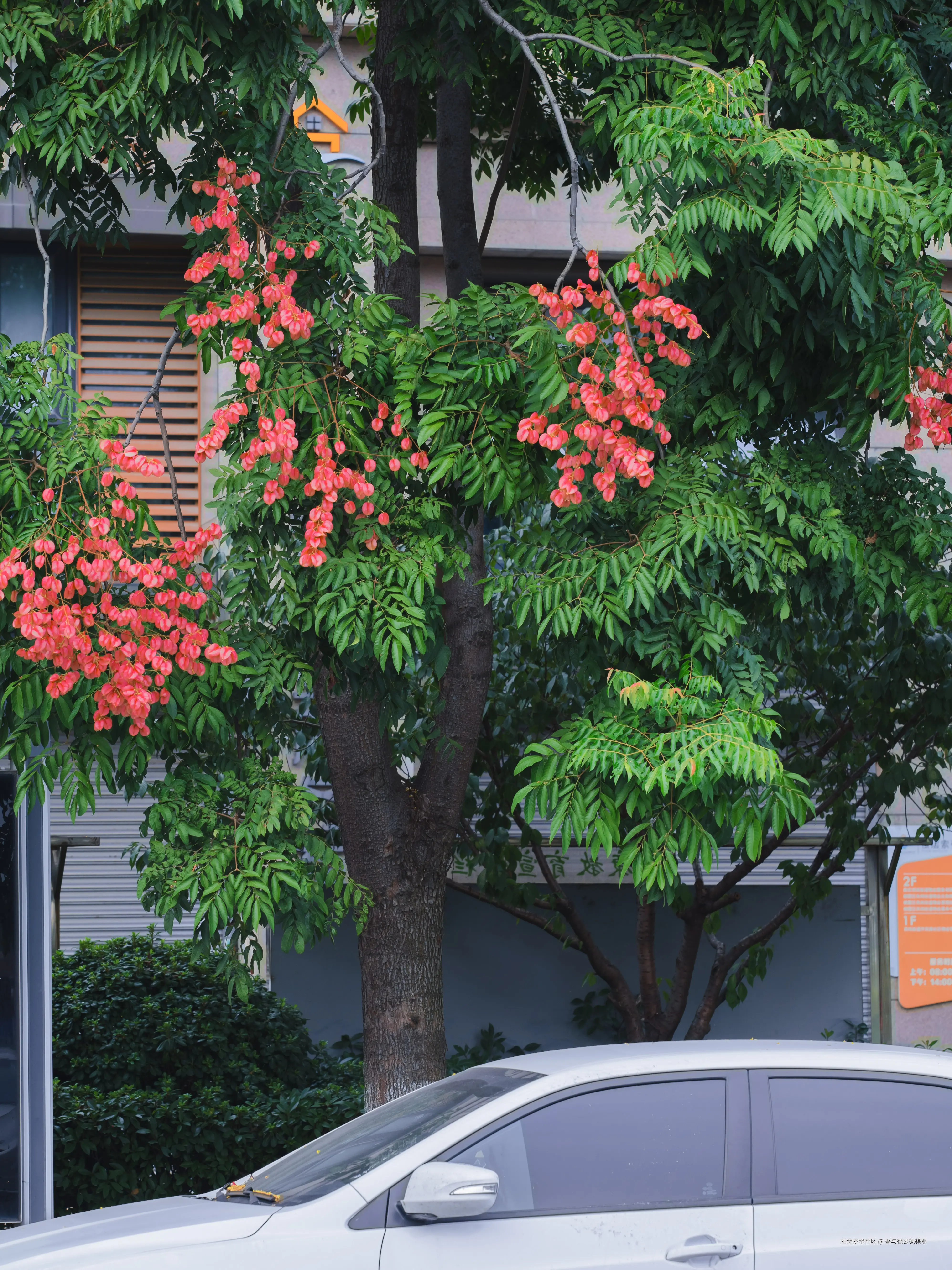 吾与徐公孰美耶于2025-09-10 09:43发布的图片