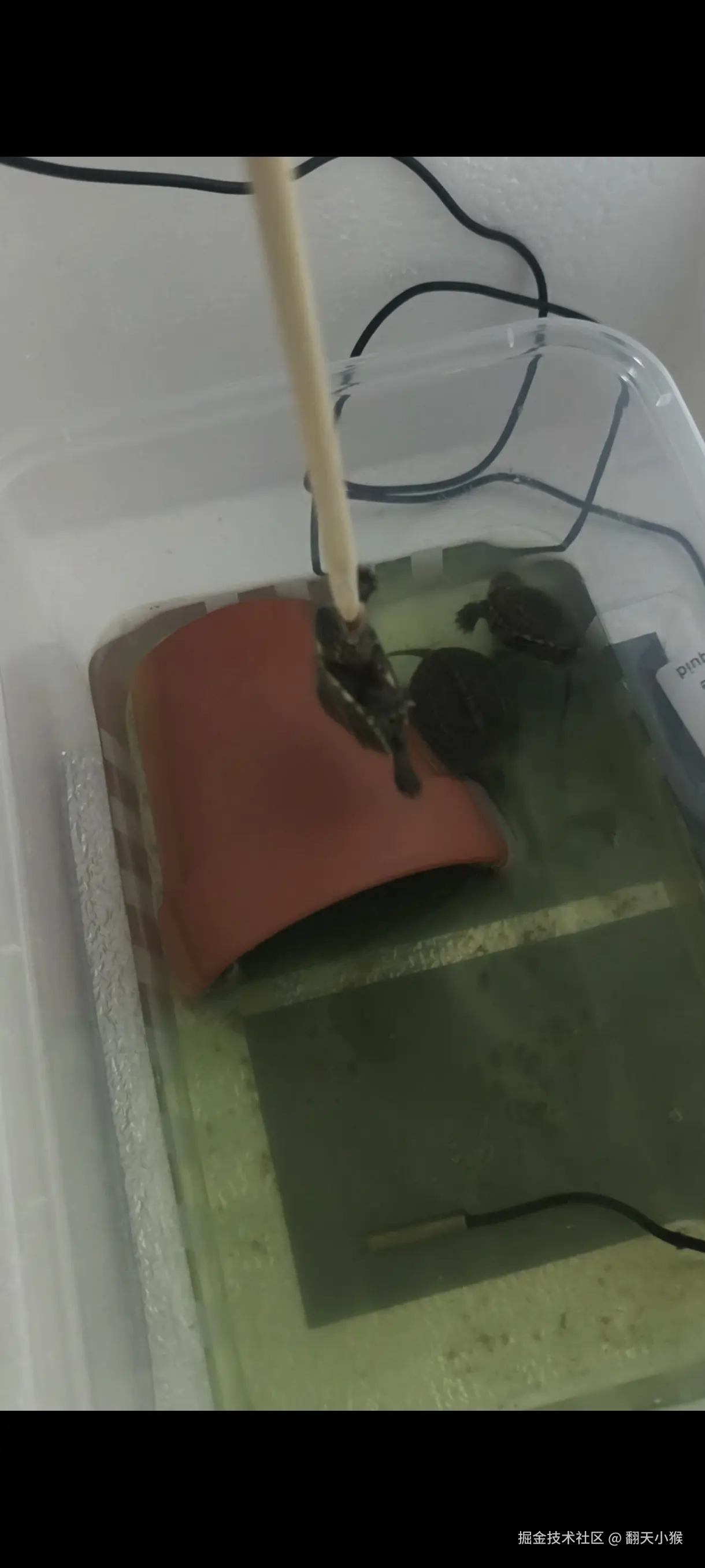 翻天小猴于2024-10-30 16:53发布的图片