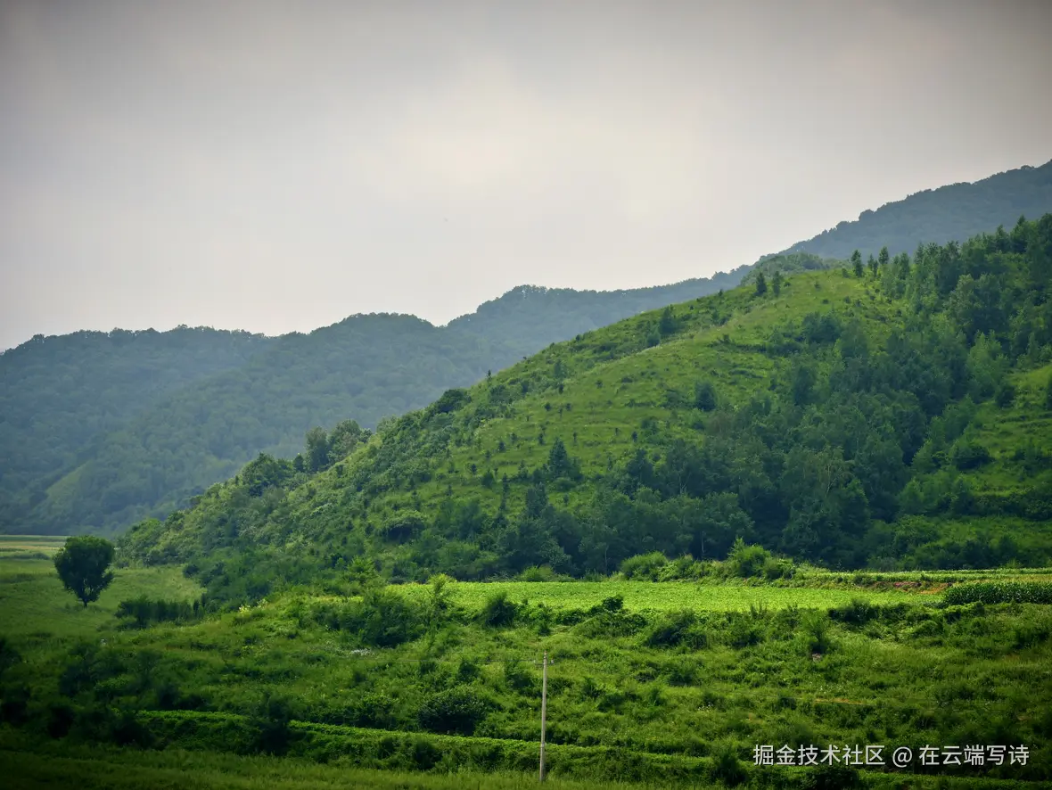 在云端写诗于2025-08-04 02:49发布的图片