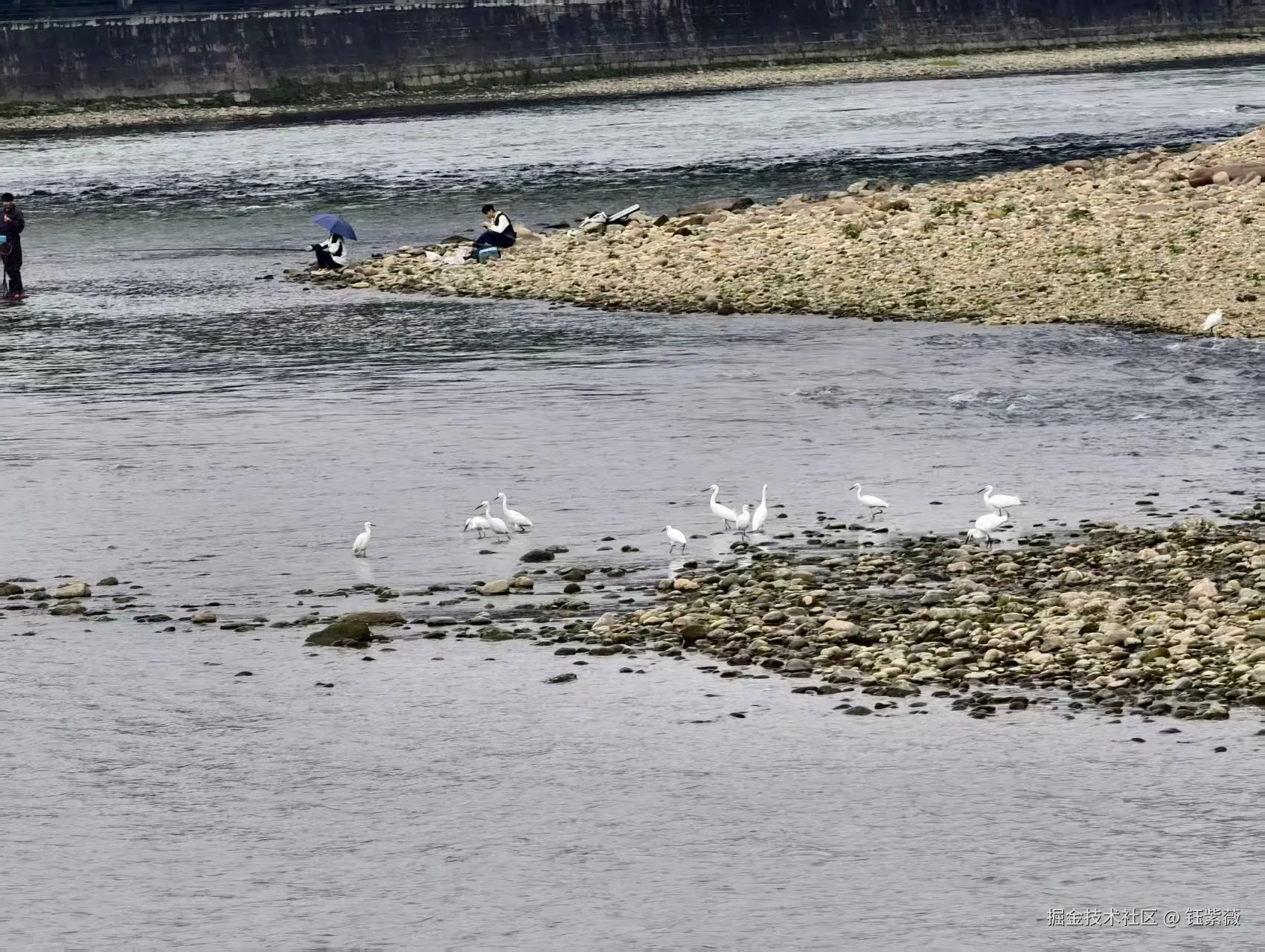 钰紫薇于2025-11-03 09:30发布的图片