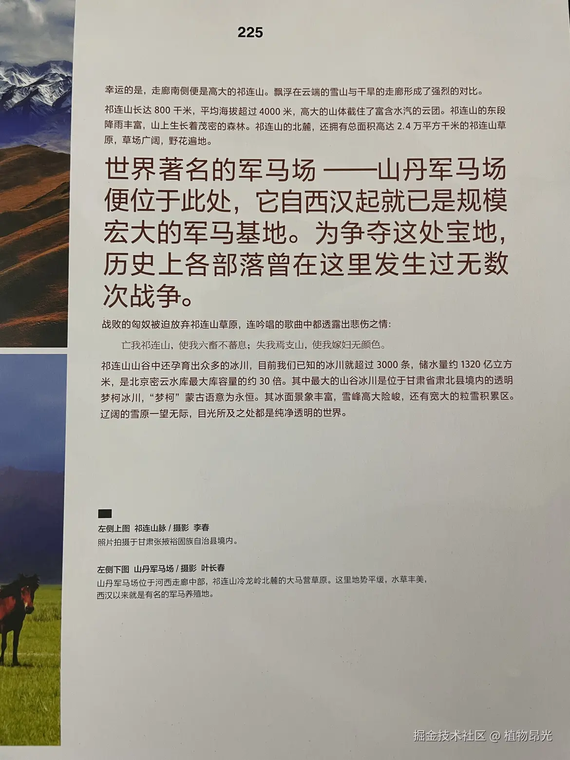 植物昂光于2026-03-25 20:30发布的图片