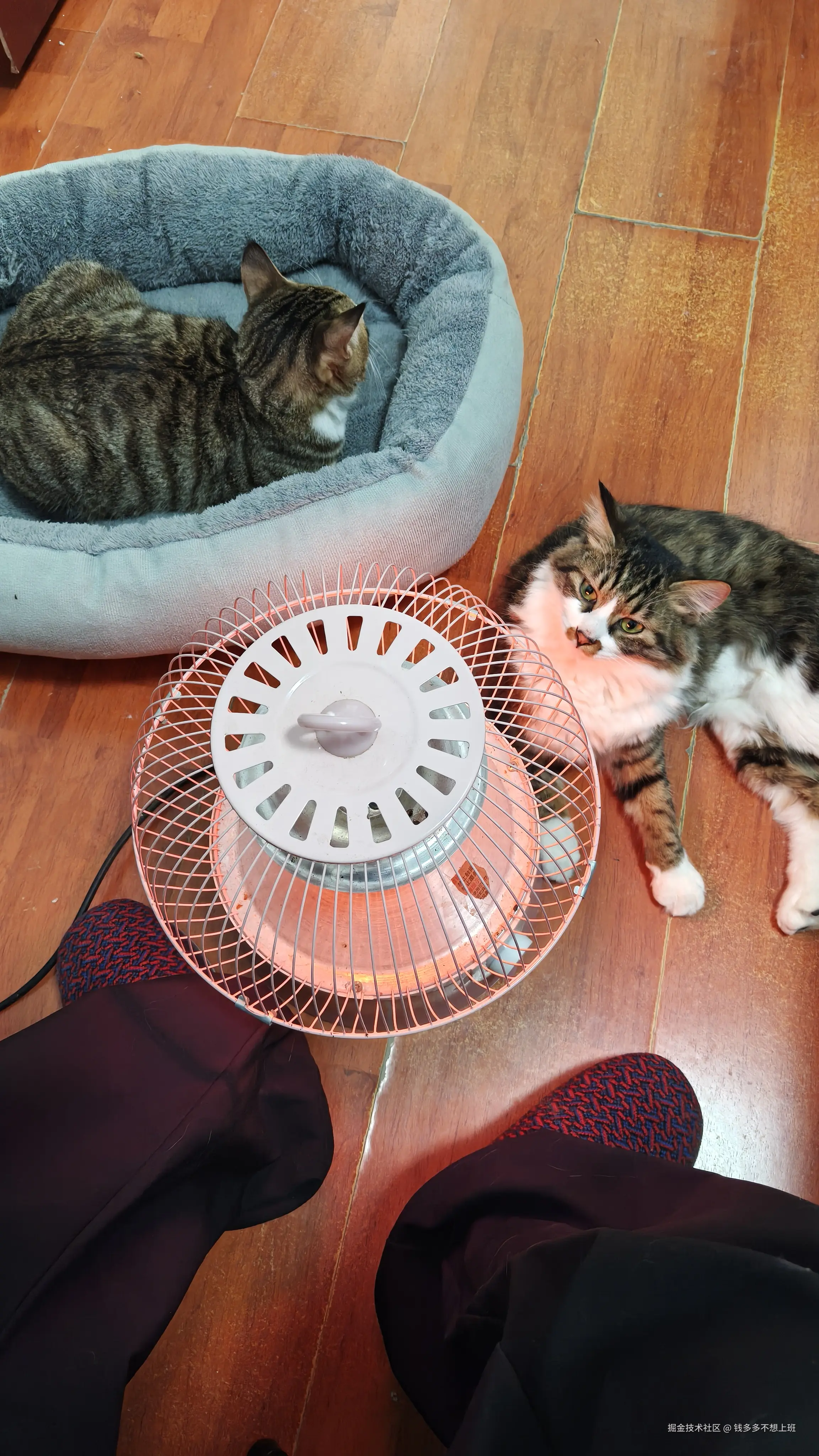 钱多多不想上班于2025-12-16 16:54发布的图片