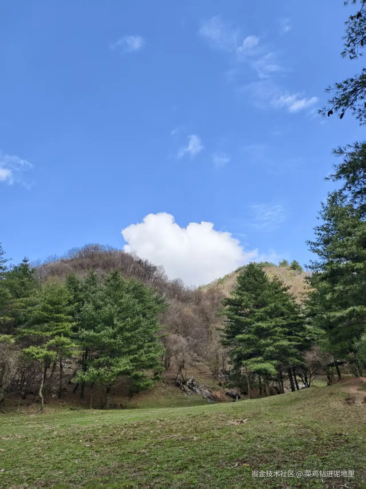 菜鸡钻进泥地里于2026-04-07 09:58发布的图片