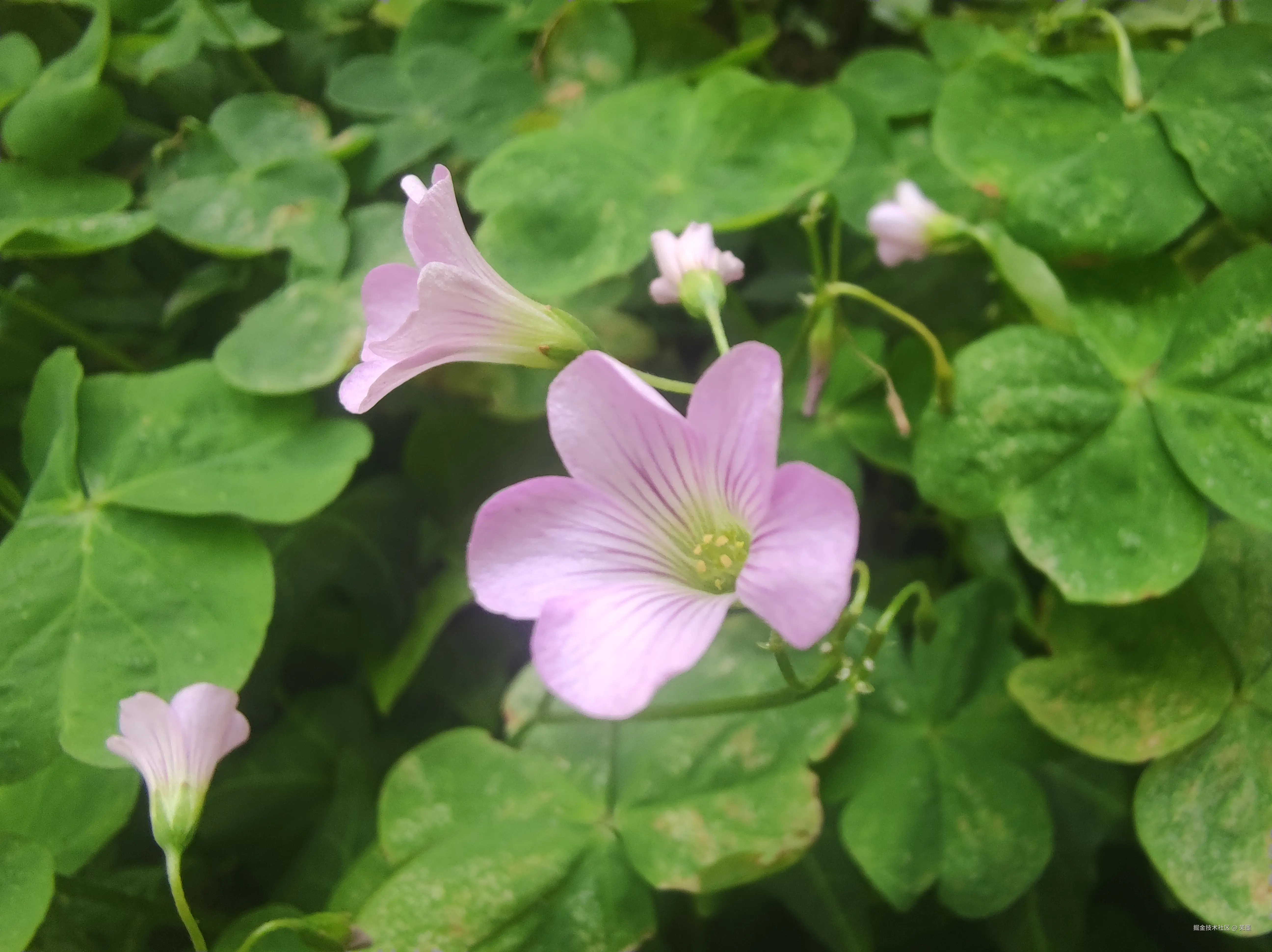 芜墨于2025-08-05 00:23发布的图片