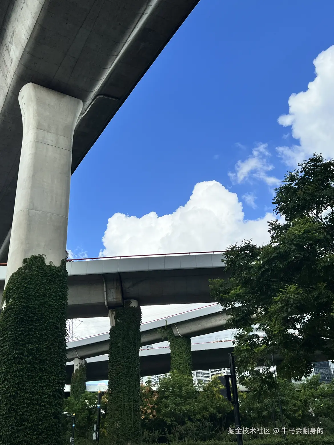 牛马会翻身的于2024-09-14 09:43发布的图片