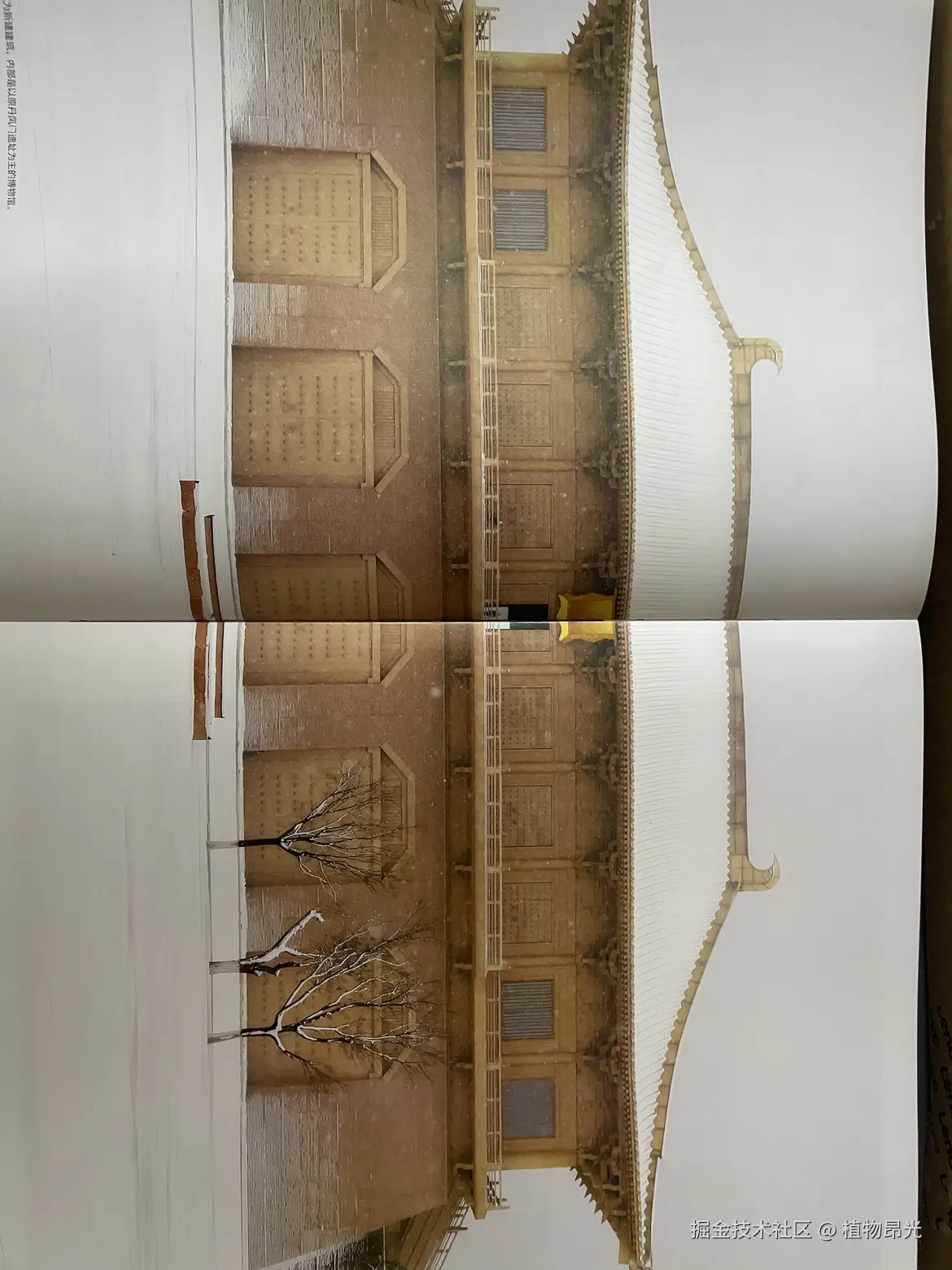 植物昂光于2026-03-30 21:11发布的图片