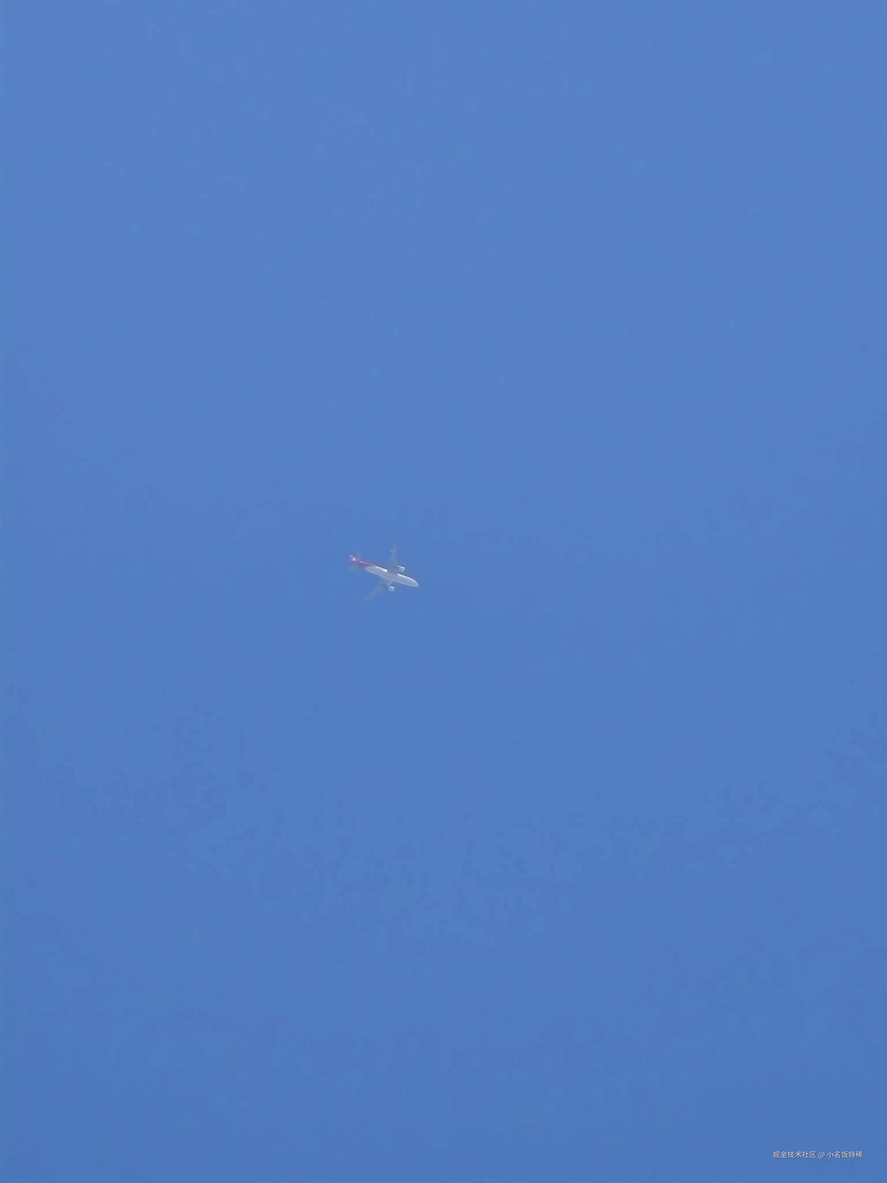 小名饭特稀于2026-03-13 14:23发布的图片