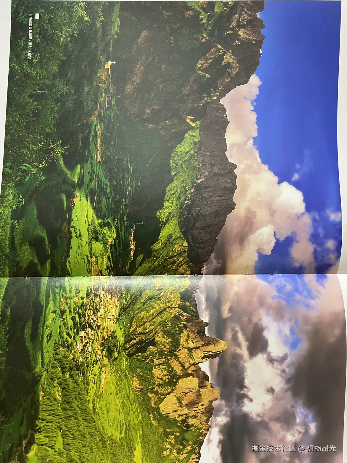 植物昂光于2026-03-26 20:35发布的图片