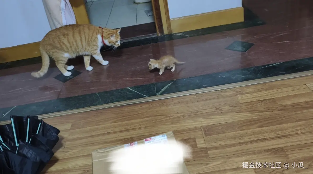 小瓜_于2025-06-17 14:28发布的图片